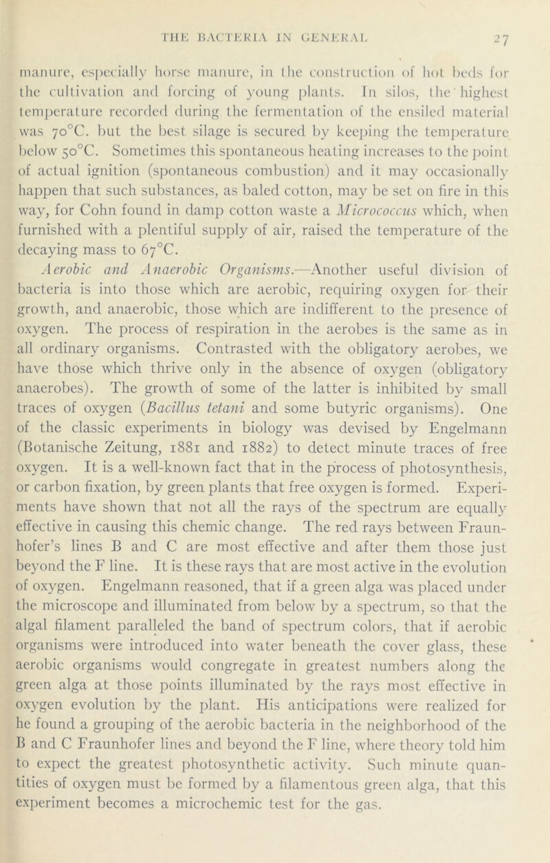 manure, especially horse manure, in (he construction of hot beds for the cultivation and forcing of young plants. In silos, the highest temperature recorded during the fermentation of the ensiled material was 7o°C. but the best silage is secured by keeping the temperature below 5o°C. Sometimes this spontaneous heating increases to the point of actual ignition (spontaneous combustion) and it may occasionally happen that such substances, as baled cotton, may be set on fire in this way, for Cohn found in damp cotton waste a Micrococcus which, when furnished with a plentiful supply of air, raised the temperature of the decaying mass to 67°C. Aerobic and Anaerobic Organisms.—Another useful division of bacteria is into those which are aerobic, requiring oxygen for their growth, and anaerobic, those which are indifferent to the presence of oxygen. The process of respiration in the aerobes is the same as in all ordinary organisms. Contrasted with the obligatory aerobes, we have those which thrive only in the absence of oxygen (obligatory anaerobes). The growth of some of the latter is inhibited by small traces of oxygen (Bacillus ietani and some butyric organisms). One of the classic experiments in biology was devised by Engelmann (Botanische Zeitung, 1881 and 1882) to detect minute traces of free oxygen. It is a well-known fact that in the process of photosynthesis, or carbon fixation, by green plants that free oxygen is formed. Experi- ments have shown that not all the rays of the spectrum are equally effective in causing this chemic change. The red rays between Fraun- hofer’s lines B and C are most effective and after them those just beyond the F line. It is these rays that are most active in the evolution of oxygen. Engelmann reasoned, that if a green alga was placed under the microscope and illuminated from below by a spectrum, so that the algal filament paralleled the band of spectrum colors, that if aerobic organisms were introduced into water beneath the cover glass, these aerobic organisms would congregate in greatest numbers along the green alga at those points illuminated by the rays most effective in oxygen evolution by the plant. His anticipations were realized for be found a grouping of the aerobic bacteria in the neighborhood of the B and C Fraunhofer lines and beyond the F line, where theory told him to expect the greatest photosynthetic activity. Such minute quan- tities of oxygen must be formed by a filamentous green alga, that this experiment becomes a microchemic test for the gas.