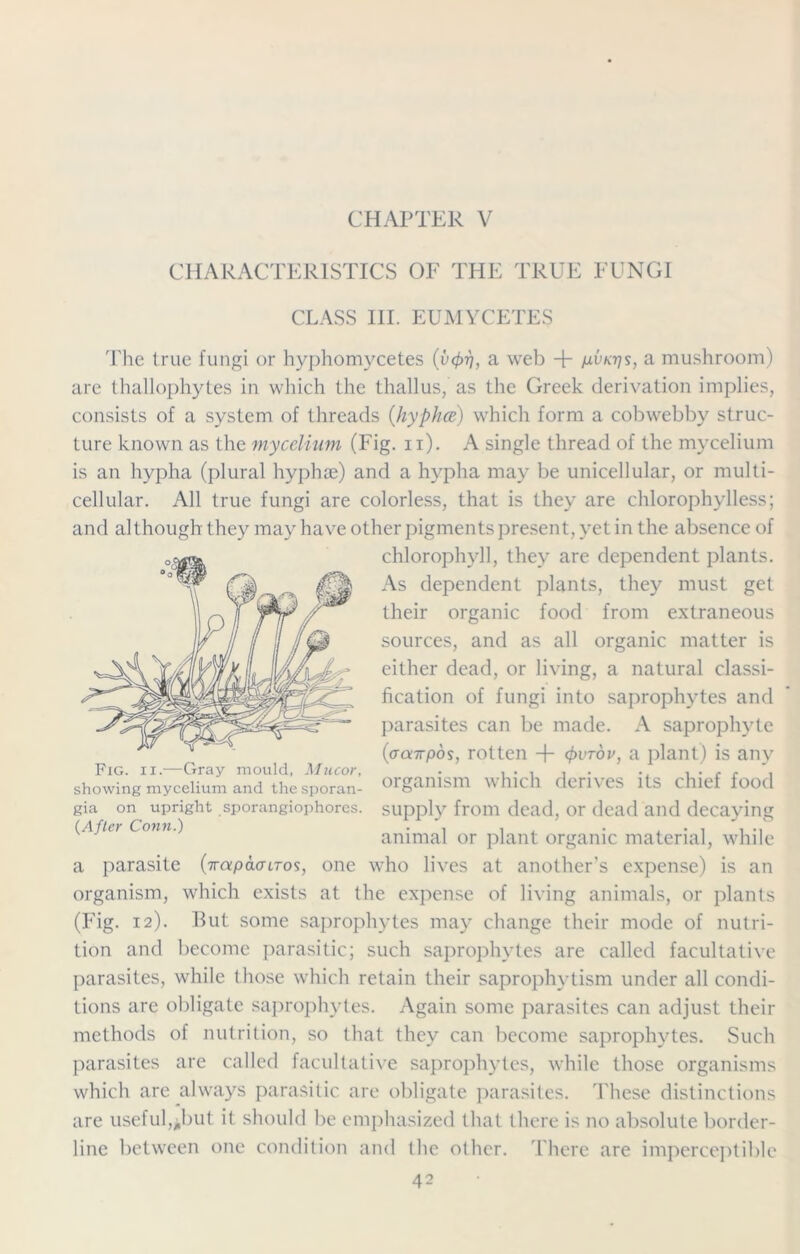 CHARACTERISTICS OF THE TRUE FUNGI CLASS III. EUMYCETES The true fungi or hyphomycetes (vprj, a web + p-vktjs, a mushroom) are thallophytes in which the thallus, as the Greek derivation implies, consists of a system of threads (Jiyphoz) which form a cobwebby struc- ture known as the mycelium (Fig. n). A single thread of the mycelium is an hypha (plural hyphte) and a hypha may be unicellular, or multi- cellular. All true fungi are colorless, that is they are chlorophylless; and although they may have other pigments present, yet in the absence of chlorophyll, they are dependent plants. As dependent plants, they must get their organic food from extraneous sources, and as all organic matter is either dead, or living, a natural classi- fication of fungi into saprophytes and parasites can be made. A saprophyte (aaTpos, rotten + (frvrbv, a plant) is any organism which derives its chief food supply from dead, or dead and decaying animal or plant organic material, while a parasite (irapacnTos, one who lives at another’s expense) is an organism, which exists at the expense of living animals, or plants (Fig. 12). But some saprophytes may change their mode of nutri- tion and become parasitic; such saprophytes are called facultative parasites, while those which retain their saprophytism under all condi- tions are obligate saprophytes. Again some parasites can adjust their methods of nutrition, so that they can become saprophytes. Such parasites are called facultative saprophytes, while those organisms which are always parasitic are obligate parasites. These distinctions are useful,Jwt it should be emphasized that there is no absolute border- line between one condition and the other. There are imperceptible 42 Fig. 11.—Gray mould, Mucor, showing mycelium and the sporan- gia on upright sporangiophores. (After Conn.)