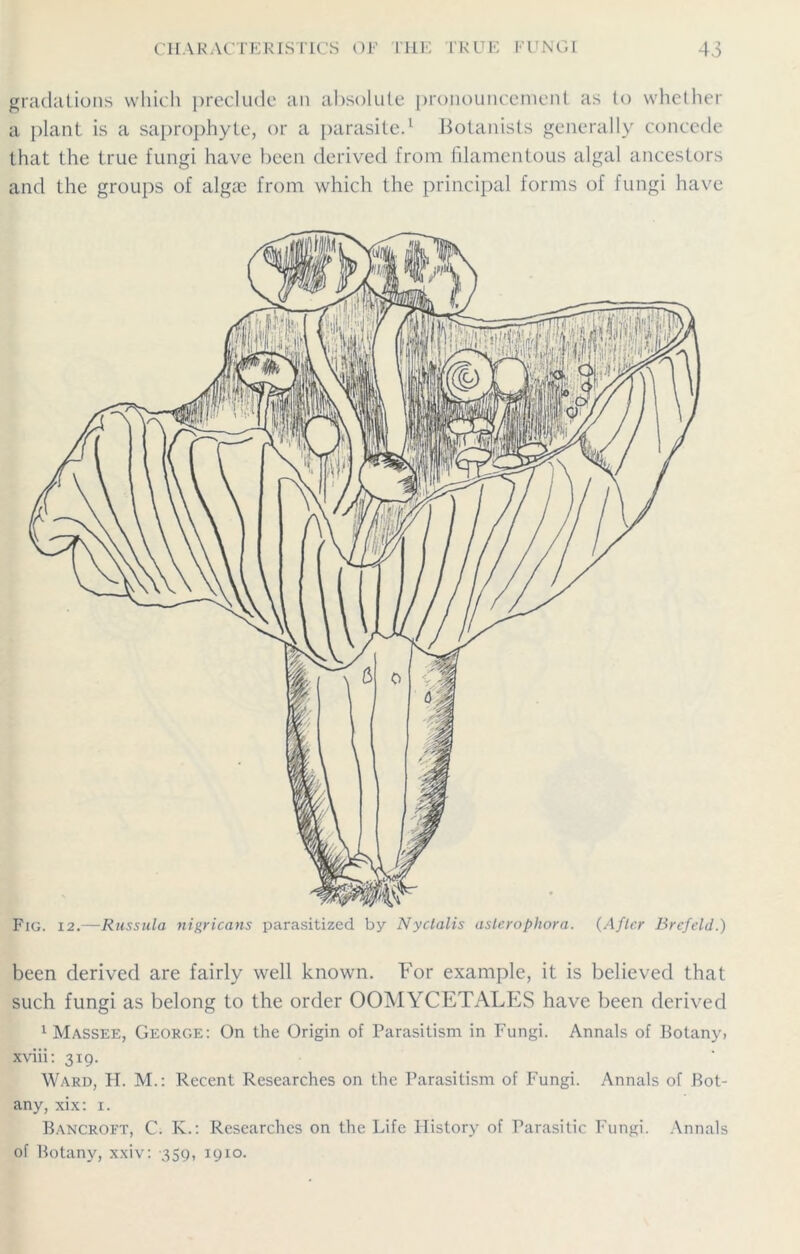 gradations which preclude an absolute pronouncement as to whether a plant is a saprophyte, or a parasite.1 Botanists generally concede that the true fungi have been derived from filamentous algal ancestors and the groups of alga? from which the principal forms of fungi have been derived are fairly well known. For example, it is believed that such fungi as belong to the order OOMYCETALES have been derived 1 Massee, George: On the Origin of Parasitism in Fungi. Annals of Botany, xviii: 319. Ward, H. M.: Recent Researches on the Parasitism of Fungi. Annals of Bot- any, xix: 1. Bancroft, C. K.: Researches on the Life History of Parasitic Fungi. Annals of Botany, xxiv: 359, 1910.