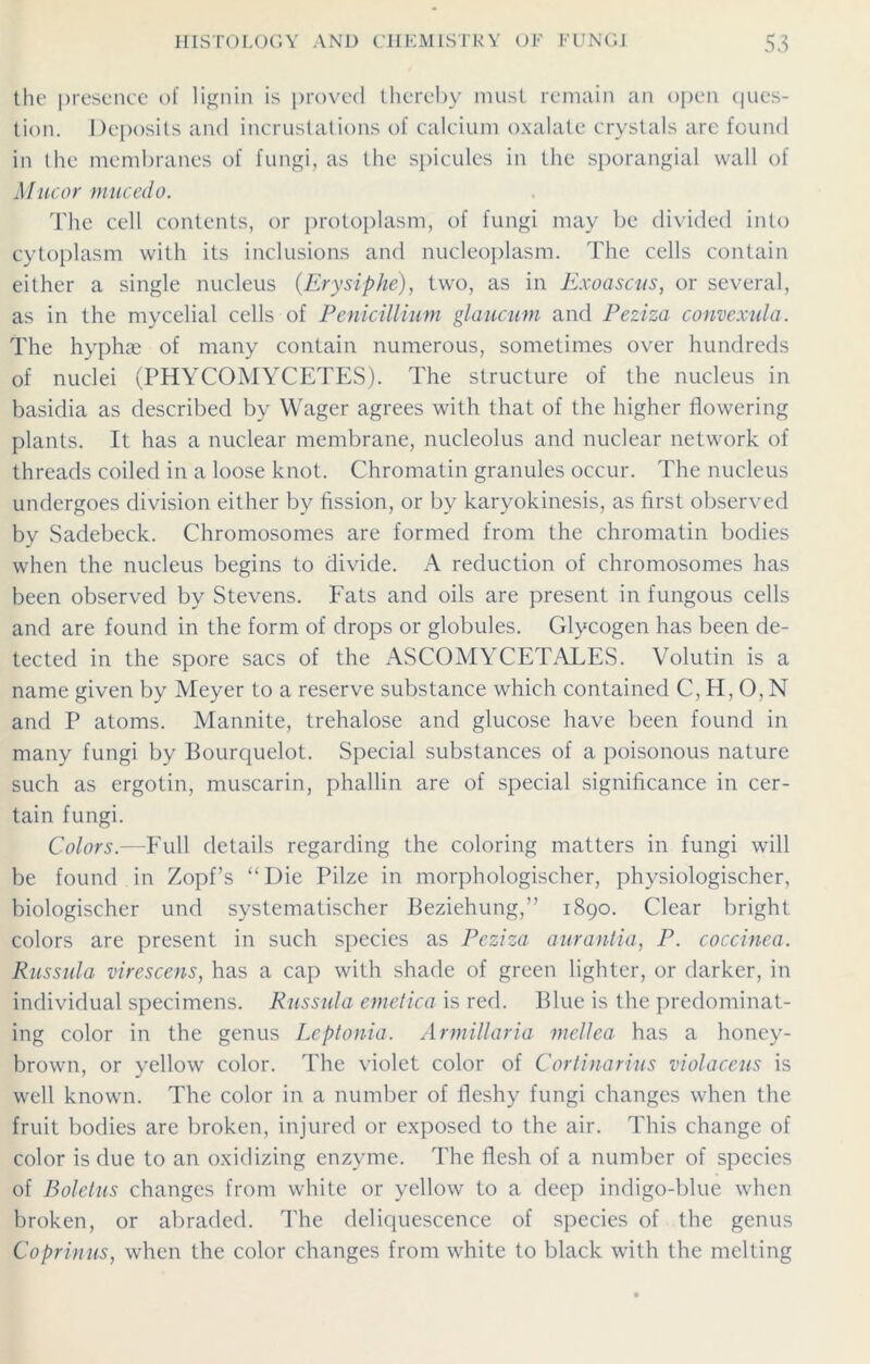 the presence of lignin is proved thereby must remain an open ques- tion. Deposits and incrustations of calcium oxalate crystals are found in the membranes of fungi, as the spicules in the sporangial wall of Mucor mucedo. The cell contents, or protoplasm, of fungi may be divided into cytoplasm with its inclusions and nucleoplasm. The cells contain either a single nucleus (Erysiphe), two, as in Exoascus, or several, as in the mycelial cells of Penicillium glaucum and Penza convexula. The hyplne of many contain numerous, sometimes over hundreds of nuclei (PHYCOMYCETES). The structure of the nucleus in basidia as described by Wager agrees with that of the higher flowering plants. It has a nuclear membrane, nucleolus and nuclear network of threads coiled in a loose knot. Chromatin granules occur. The nucleus undergoes division either by fission, or by karyokinesis, as first observed by Sadebeck. Chromosomes are formed from the chromatin bodies when the nucleus begins to divide. A reduction of chromosomes has been observed by Stevens. Fats and oils are present in fungous cells and are found in the form of drops or globules. Glycogen has been de- tected in the spore sacs of the ASCOMYCETALES. Volutin is a name given by Meyer to a reserve substance which contained C, H, O, N and P atoms. Mannite, trehalose and glucose have been found in many fungi by Bourquelot. Special substances of a poisonous nature such as ergotin, muscarin, phallin are of special significance in cer- tain fungi. Colors.—Full details regarding the coloring matters in fungi will be found in Zopf’s “Die Pilze in morphologischer, physiologischer, biologischer und systematischer Beziehung,” 1890. Clear bright colors are present in such species as Peziza aurantia, P. coccinea. Russula virescens, has a cap with shade of green lighter, or darker, in individual specimens. Russula emetica is red. Blue is the predominat- ing color in the genus Leptonia. Armiliaria mellea has a honey- brown, or yellow color. The violet color of Cortinarius violaceus is well known. The color in a number of fleshy fungi changes when the fruit bodies are broken, injured or exposed to the air. This change of color is due to an oxidizing enzyme. The flesh of a number of species of Boletus changes from white or yellow to a deep indigo-blue when broken, or abraded. The deliquescence of species of the genus Coprinus, when the color changes from white to black with the melting