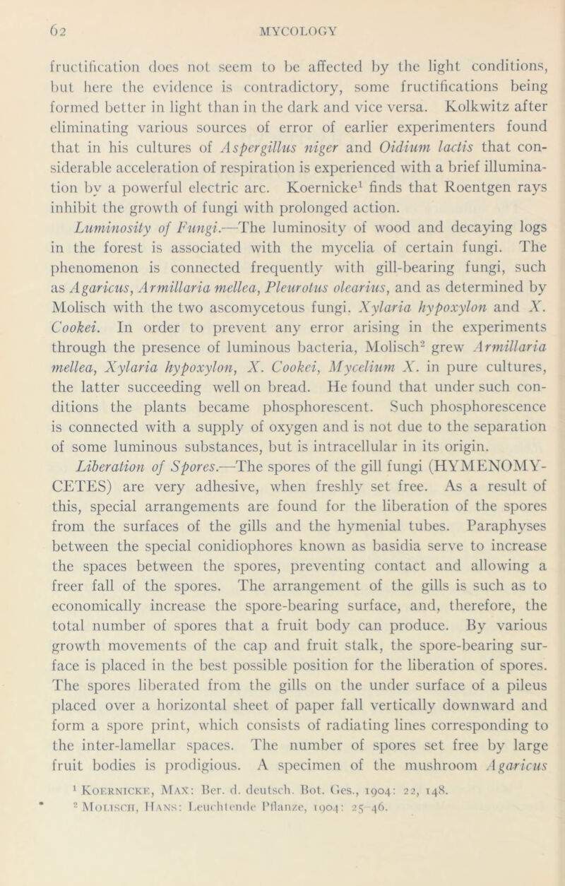 fructification does not seem to be affected by the light conditions, but here the evidence is contradictory, some fructifications being formed better in light than in the dark and vice versa. Kolkwitz after eliminating various sources of error of earlier experimenters found that in his cultures of Aspergillus niger and Oidium lactis that con- siderable acceleration of respiration is experienced with a brief illumina- tion by a powerful electric arc. Koernicke1 finds that Roentgen rays inhibit the growth of fungi with prolonged action. Luminosity of Fungi.—The luminosity of wood and decaying logs in the forest is associated with the mycelia of certain fungi. The phenomenon is connected frequently with gill-bearing fungi, such as Agaricus, Armillaria mellea, Pleurotus olearius, and as determined by Molisch with the two ascomycetous fungi. Xylaria hypoxylon and X. Cookei. In order to prevent any error arising in the experiments through the presence of luminous bacteria, Molisch2 grew Armillaria mellea, Xylaria hypoxylon, X. Cookei, Mycelium X. in pure cultures, the latter succeeding well on bread. He found that under such con- ditions the plants became phosphorescent. Such phosphorescence is connected with a supply of oxygen and is not due to the separation of some luminous substances, but is intracellular in its origin. Liberation of Spores.—The spores of the gill fungi (HYMENOMY- CETES) are very adhesive, when freshly set free. As a result of this, special arrangements are found for the liberation of the spores from the surfaces of the gills and the hymenial tubes. Paraphyses between the special conidiophores known as basidia serve to increase the spaces between the spores, preventing contact and allowing a freer fall of the spores. The arrangement of the gills is such as to economically increase the spore-bearing surface, and, therefore, the total number of spores that a fruit body can produce. By various growth movements of the cap and fruit stalk, the spore-bearing sur- face is placed in the best possible position for the liberation of spores. The spores liberated from the gills on the under surface of a pileus placed over a horizontal sheet of paper fall vertically downward and form a spore print, which consists of radiating lines corresponding to the inter-lamellar spaces. The number of spores set free by large fruit bodies is prodigious. A specimen of the mushroom Agaricus 1 Koernickk, Max: Ber. cl. deutsch. Bot. Ges., 1904: 22, 14X. 2 Mot.isch, Hans: Leuohtende Ptlan/e, 1904: 25-46.