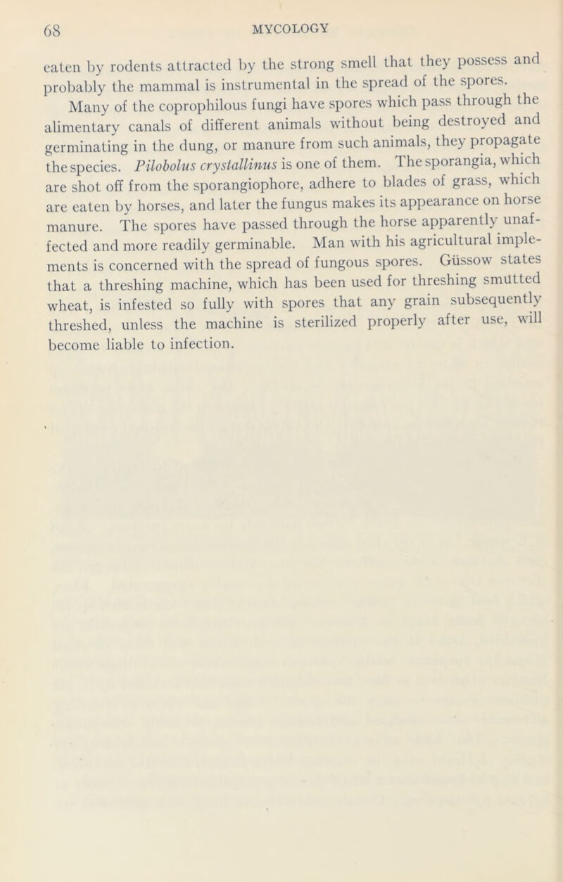eaten by rodents attracted by the strong smell that they possess and probably the mammal is instrumental in the spread of the spores. Many of the coprophilous fungi have spores which pass through the alimentary canals of different animals without being destroyed and germinating in the dung, or manure from such animals, they propagate the species. Pilobolus crystallinus is one of them. The sporangia, which are shot off from the sporangiophore, adhere to blades of grass, which are eaten by horses, and later the fungus makes its appearance on horse manure. The spores have passed through the horse apparently unaf- fected and more readily germinable. Man with his agricultural imple- ments is concerned with the spread of fungous spores. Giissow states that a threshing machine, which has been used for threshing smutted wheat, is infested so fully with spores that any grain subsequently threshed, unless the machine is sterilized properly after use, will become liable to infection.