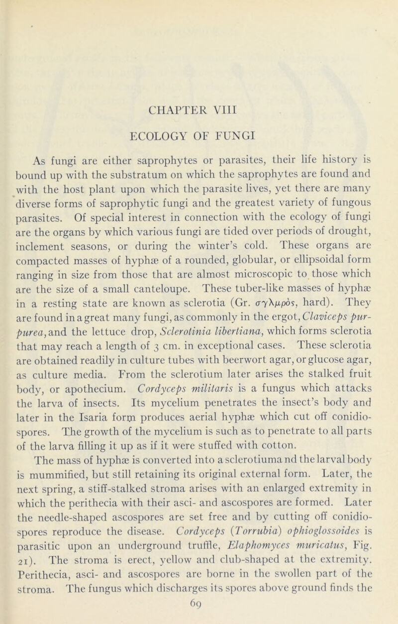 CHAPTER VIII ECOLOGY OF FUNGI As fungi are either saprophytes or parasites, their life history is bound up with the substratum on which the saprophytes are found and with the host plant upon which the parasite lives, yet there are many diverse forms of saprophytic fungi and the greatest variety of fungous parasites. Of special interest in connection with the ecology of fungi are the organs by which various fungi are tided over periods of drought, inclement seasons, or during the winter’s cold. These organs are compacted masses of hyphse of a rounded, globular, or ellipsoidal form ranging in size from those that are almost microscopic to those which are the size of a small canteloupe. These tuber-like masses of hyphae in a resting state are known as sclerotia (Gr. ayX/xpos, hard). They are found in a great many fungi, as commonly in the ergot, Claviceps pur- purea, and the lettuce drop, Sclerotinia libertiana, which forms sclerotia that may reach a length of 3 cm. in exceptional cases. These sclerotia are obtained readily in culture tubes with beerwort agar, or glucose agar, as culture media. From the sclerotium later arises the stalked fruit body, or apothecium. Cordyceps militaris is a fungus which attacks the larva of insects. Its mycelium penetrates the insect’s body and later in the Isaria form produces aerial hyphse which cut off conidio- spores. The growth of the mycelium is such as to penetrate to all parts of the larva filling it up as if it were stuffed with cotton. The mass of hyphse is converted into asclerotiumand the larval body is mummified, but still retaining its original external form. Later, the next spring, a stiff-stalked stroma arises with an enlarged extremity in which the perithecia with their asci- and ascospores are formed. Later the needle-shaped ascospores are set free and by cutting off conidio- spores reproduce the disease. Cordyceps (Torrubia) ophioglossoides is parasitic upon an underground truffle, Elaphomyces muricatus, Fig. 21). The stroma is erect, yellow and club-shaped at the extremity. Perithecia, asci- and ascospores are borne in the swollen part of the stroma. The fungus which discharges its spores above ground finds the