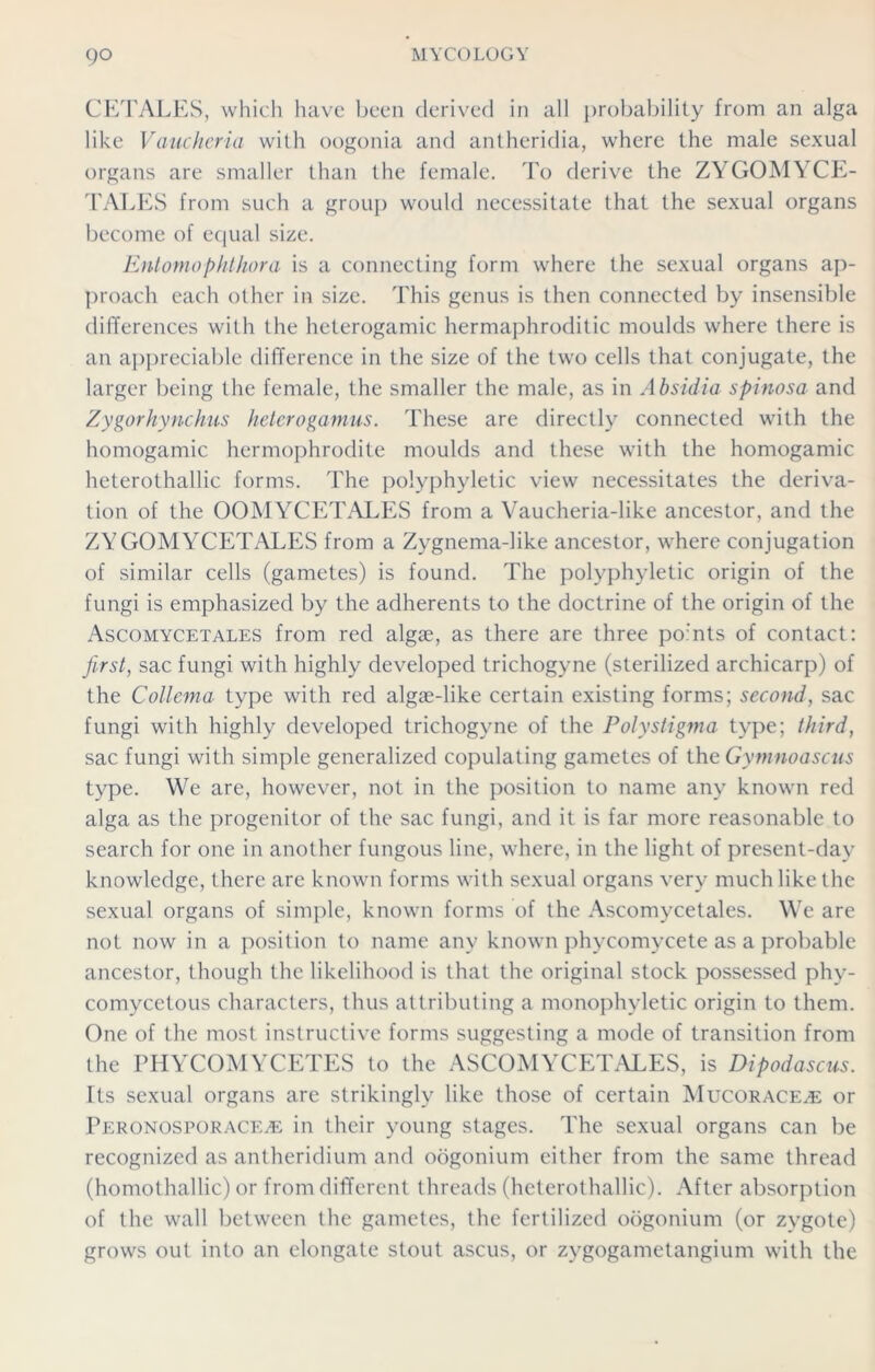 CETALES, which have been derived in all probability from an alga like Vaucheria with oogonia and antheridia, where the male sexual organs are smaller than the female. To derive the ZYGOMYCE- TALES from such a group would necessitate that the sexual organs become of equal size. Entomophthora is a connecting form where the sexual organs ap- proach each other in size. This genus is then connected by insensible differences with the heterogamic hermaphroditic moulds where there is an appreciable difference in the size of the two cells that conjugate, the larger being the female, the smaller the male, as in Absidia spinosa and Zygorhynchus heterogamus. These are directly connected with the homogamic hermophrodite moulds and these with the homogamic heterothallic forms. The polyphyletic view necessitates the deriva- tion of the OOMYCETALES from a Vaucheria-like ancestor, and the ZYGOMYCETALES from a Zygnema-like ancestor, where conjugation of similar cells (gametes) is found. The polyphyletic origin of the fungi is emphasized by the adherents to the doctrine of the origin of the Ascomycetales from red algse, as there are three po:'nts of contact: first, sac fungi with highly developed trichogyne (sterilized archicarp) of the Collema type with red algae-like certain existing forms; second, sac fungi with highly developed trichogyne of the Polystigma type; third, sac fungi with simple generalized copulating gametes of the Gymnoascus type. We are, however, not in the position to name any known red alga as the progenitor of the sac fungi, and it is far more reasonable to search for one in another fungous line, where, in the light of present-day knowledge, there are known forms with sexual organs very much like the sexual organs of simple, known forms of the Ascomycetales. We are not now in a position to name any known phycomycete as a probable ancestor, though the likelihood is that the original stock possessed phy- comycetous characters, thus attributing a monophyletic origin to them. One of the most instructive forms suggesting a mode of transition from the PHYCOMYCETES to the ASCOMYCETALES, is Dipodascus. Its sexual organs are strikingly like those of certain Mucorace^e or Peronosporace^e in their young stages. The sexual organs can be recognized as antheridium and oogonium either from the same thread (homothallic) or from different threads (heterothallic). After absorption of the wall between the gametes, the fertilized oogonium (or zygote) grows out into an elongate stout ascus, or zygogametangium with the