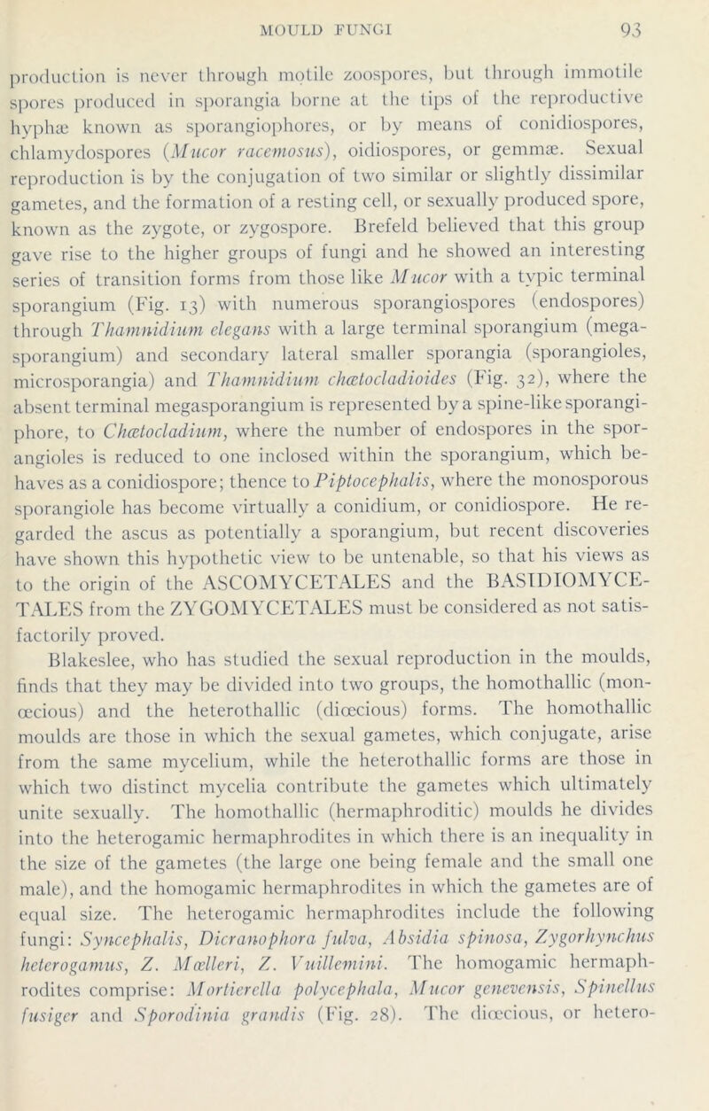 production is never through motile zoospores, but through immotile spores produced in sporangia borne at the tips of the reproductive hyphae known as sporangiophores, or by means of conidiospores, chlamydospores (Mucor racemosus), oidiospores, or gemmae. Sexual reproduction is by the conjugation of two similar or slightly dissimilar gametes, and the formation of a resting cell, or sexually produced spore, known as the zygote, or zygospore. Brefeld believed that this group gave rise to the higher groups of fungi and he showed an interesting series of transition forms from those like Mucor with a tvpic terminal sporangium (Fig. 13) with numerous sporangiospores (endospores) through T ham nidi um elegans with a large terminal sporangium (mega- sporangium) and secondary lateral smaller sporangia (sporangioles, microsporangia) and Thamnidium chcetocladioides (Fig. 32), where the absent terminal megasporangium is represented by a spine-like sporangi- phore, to Chtztocladium, where the number of endospores in the spor- angioles is reduced to one inclosed within the sporangium, which be- haves as a conidiospore; thence toPiptocephalis, where the monosporous sporangiole has become virtually a conidium, or conidiospore. He re- garded the ascus as potentially a sporangium, but recent discoveries have shown this hypothetic view to be untenable, so that his views as to the origin of the ASCOMYCETALES and the BASIDIOMYCE- TALES from the ZYGOMYCETALES must be considered as not satis- factorily proved. Blakeslee, who has studied the sexual reproduction in the moulds, finds that they may be divided into two groups, the homothallic (mon- oecious) and the heterothallic (dioecious) forms. The homothallic moulds are those in which the sexual gametes, which conjugate, arise from the same mycelium, while the heterothallic forms are those in which two distinct mycelia contribute the gametes which ultimately unite sexually. The homothallic (hermaphroditic) moulds he divides into the heterogamic hermaphrodites in which there is an inequality in the size of the gametes (the large one being female and the small one male), and the homogamic hermaphrodites in which the gametes are of equal size. The heterogamic hermaphrodites include the following fungi: Syncephalis, Dior anaphora fulva, Absidia spinosa, Zygorhynchus heterogamus, Z. Moelleri, Z. Vuillemini. The homogamic hermaph- rodites comprise: Mortierella polycephala, Mucor genevensis, Spinellus fusigcr and Sporodinia grandis (Fig. 28). The dioecious, or hetero-