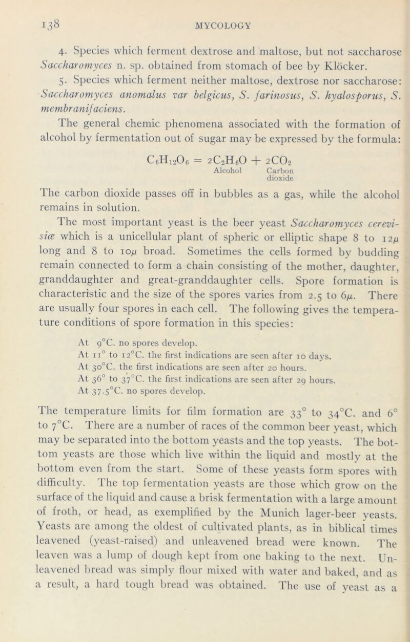 4. Species which ferment dextrose and maltose, but not saccharose Saccharomyces n. sp. obtained from stomach of bee by Klocker. 5. Species which ferment neither maltose, dextrose nor saccharose: Saccharomyces anomalies var belgicus, S. farinosus, S. hyalosporus, S. membranifaciens. The general chemic phenomena associated with the formation of alcohol by fermentation out of sugar may be expressed by the formula: CeHi-iOo = 2C2HUO -fi 2CO2 Alcohol Carbon dioxide The carbon dioxide passes off in bubbles as a gas, while the alcohol remains in solution. The most important yeast is the beer yeast Saccharomyces cerevi- sice which is a unicellular plant of spheric or elliptic shape 8 to i2fi long and 8 to ioyu broad. Sometimes the cells formed by budding remain connected to form a chain consisting of the mother, daughter, granddaughter and great-granddaughter cells. Spore formation is characteristic and the size of the spores varies from 2.5 to 6/x. There are usually four spores in each cell. The following gives the tempera- ture conditions of spore formation in this species: At 9°C. no spores develop. At ii° to 12°C. the first indications are seen after 10 days. At 30°C. the first indications are seen after 20 hours. At 36° to 37°C. the first indications are seen after 29 hours. At 37-5°C. no spores develop. The temperature limits for film formation are 330 to 34°C. and 6° to 7°C. There are a number of races of the common beer yeast, which may be separated into the bottom yeasts and the top yeasts. The bot- tom yeasts are those which live within the liquid and mostly at the bottom even from the start. Some of these yeasts form spores with difficulty. The top fermentation yeasts are those which grow on the surface of the liquid and cause a brisk fermentation with a large amount of froth, or head, as exemplified by the Munich lager-beer yeasts. Yeasts are among the oldest of cultivated plants, as in biblical times leavened (yeast-raised) and unleavened bread were known. The leaven was a lump of dough kept from one baking to the next. Un- leavened bread was simply flour mixed with water and baked, and as a result, a hard tough bread was obtained. The use of yeast as a