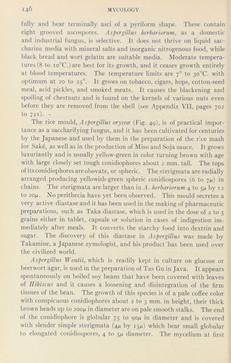 fully and bear terminally asci of a pyriform shape. These contain eight grooved ascospores. Aspergillus herbariorum, as a domestic and industrial fungus, is selective. It does not thrive on liquid sac- charine media with mineral salts and inorganic nitrogenous food, while black bread and wort gelatin are suitable media. Moderate tempera- tures (8 to io°C.)are best for its growth, and it ceases growth entirely at blood temperatures. The temperature limits are 70 to 3o°C. with optimum at 20 to 250. It grows on tobacco, cigars, hops, cotton-seed meal, acid pickles, and smoked meats. It causes the blackening and spoiling of chestnuts and is found on the kernels of various nuts even before they are removed from the shell (see Appendix VII, pages 702 to 721). • The rice mould, Aspergillus oryzece (Fig. 49), is of practical impor- tance as a saccharifying fungus, and it has been cultivated for centuries by the Japanese and used by them in the preparation of the rice mash for Sake, as well as in the production of Miso and Soja sauce. It grows luxuriantly and is usually yellow-green in color turning brown with age with large closely set tough conidiophores about 2 mm. tall. The tops of itsconidiophoresareobovate, or spheric. The sterigmata are radially arranged producing yellowish-green spheric conidiospores (6 to 7/i) in chains. The sterigmata are larger than in A. herbariorum 4 to 5^ by 12 to 20/z. No perithecia have yet been observed. This mould secretes a very active diastase and it has been used in the making of pharmaceutic preparations, such as Taka diastase, which is used in the dose of 2 to 5 grains either in tablet, capsule or solution in cases of indigestion im- mediately after meals. It converts the starchy food into dextrin and sugar. The discovery of this diastase in Aspergillus was made by Takamine, a Japanese zymologist, and his product has been used over the civilized world. Aspergillus Wcntii, which is readily kept in culture on glucose or beerwort agar, is used in the preparation of Tas Gu in Java. It appears spontaneously on boiled soy beans that have been covered with leaves of Hibiscus and it causes a loosening and disintegration of the firm tissues of the bean. The growth of this species is of a pale coffee color with conspicuous conidiophores about 2 to 3 mm. in height, their thick brown heads up to 200/i in diameter are on pale smooth stalks. The end of the conidiophore is globular 75 to 90/1 in diameter and is covered with slender simple sterigmata (4^ by 15^) which bear small globular to elongated conidiospores, 4 to 5/x diameter. The mycelium at first