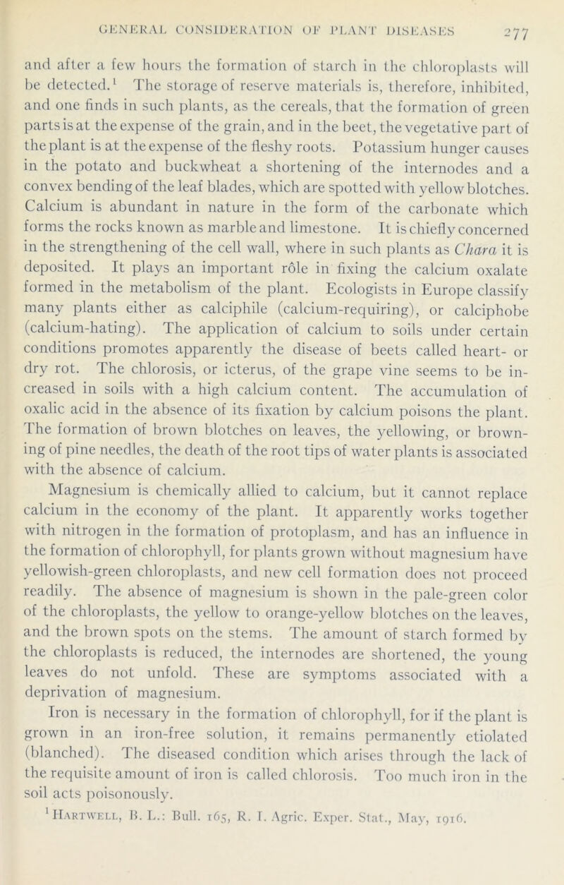 and after a few hours the formation of starch in the chloroplasts will be detected.1 The storage of reserve materials is, therefore, inhibited, and one finds in such plants, as the cereals, that the formation of green parts is at the expense of the grain, and in the beet, the vegetative part of the plant is at the expense of the fleshy roots. Potassium hunger causes in the potato and buckwheat a shortening of the internodes and a convex bending of the leaf blades, which are spotted with yellow blotches. Calcium is abundant in nature in the form of the carbonate which forms the rocks known as marble and limestone. It is chiefly concerned in the strengthening of the cell wall, where in such plants as Chara it is deposited. It plays an important role in fixing the calcium oxalate formed in the metabolism of the plant. Ecologists in Europe classify many plants either as calciphile (calcium-requiring), or calciphobe (calcium-hating). The application of calcium to soils under certain conditions promotes apparently the disease of beets called heart- or dry rot. The chlorosis, or icterus, of the grape vine seems to be in- creased in soils with a high calcium content. The accumulation of oxalic acid in the absence of its fixation by calcium poisons the plant. The formation of brown blotches on leaves, the yellowing, or brown- ing of pine needles, the death of the root tips of water plants is associated with the absence of calcium. Magnesium is chemically allied to calcium, but it cannot replace calcium in the economy of the plant. It apparently works together with nitrogen in the formation of protoplasm, and has an influence in the formation of chlorophyll, for plants grown without magnesium have yellowish-green chloroplasts, and new cell formation does not proceed readily. The absence of magnesium is shown in the pale-green color of the chloroplasts, the yellow to orange-yellow blotches on the leaves, and the brown spots on the stems. The amount of starch formed by the chloroplasts is reduced, the internodes are shortened, the young leaves do not unfold. These are symptoms associated with a deprivation of magnesium. Iron is necessary in the formation of chlorophyll, for if the plant is grown in an iron-free solution, it remains permanently etiolated (blanched). The diseased condition which arises through the lack of the requisite amount of iron is called chlorosis. Too much iron in the soil acts poisonously. 'Hartwell, B. L.: Bull. 165, R. I. Agric. Exper. Stat., May, 1916.
