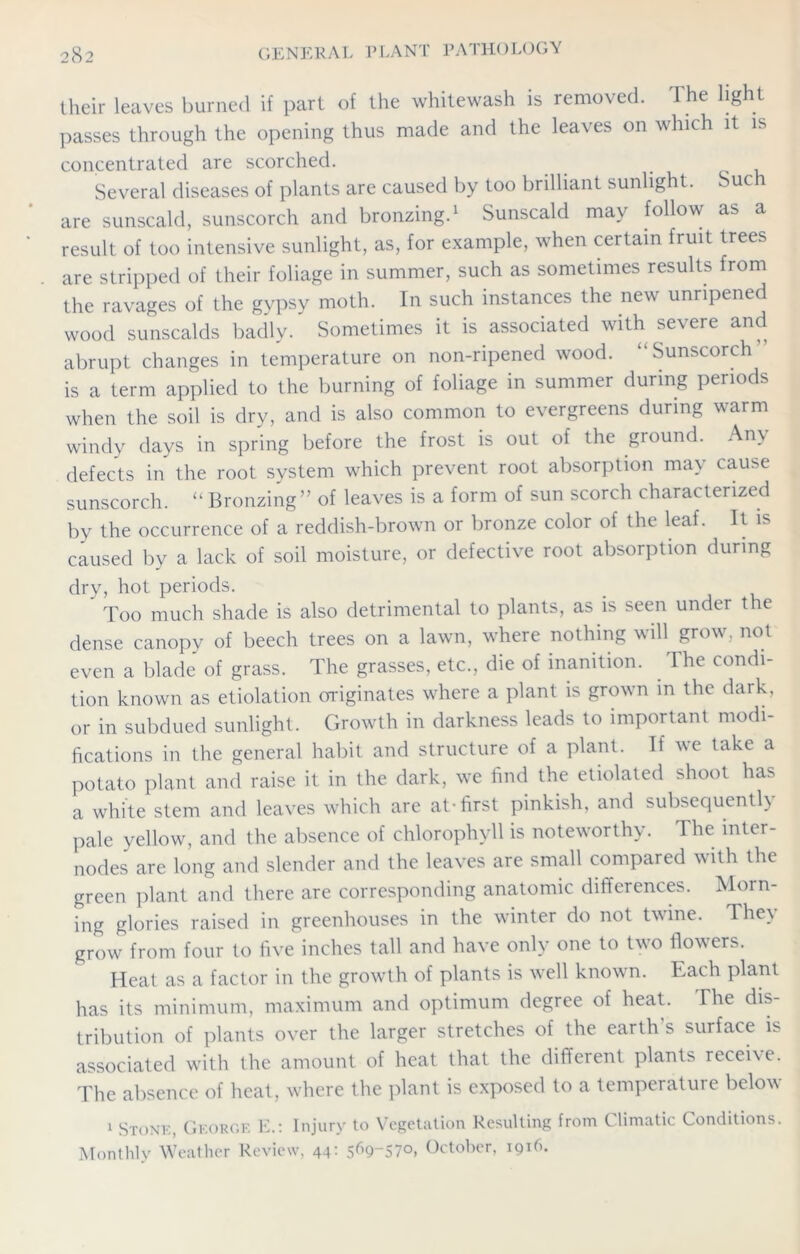their leaves burned if part of the whitewash is removed. The light passes through the opening thus made and the leaves on which it is concentrated are scorched. Several diseases of plants are caused by too brilliant sunlight. Such are sunscald, sunscorch and bronzing.1 Sunscald may follow as a result of too intensive sunlight, as, for example, when certain fruit trees are stripped of their foliage in summer, such as sometimes results from the ravages of the gypsy moth. In such instances the new unripened wood sunscalds badly. Sometimes it is associated with severe and abrupt changes in temperature on non-ripened wood. “Sunscorch is a term applied to the burning of foliage in summer during periods when the soil is dry, and is also common to evergreens during warm windy days in spring before the frost is out of the ground. Any defects in the root system which prevent root absorption may cause sunscorch. “Bronzing” of leaves is a form of sun scorch characterized by the occurrence of a reddish-brown or bronze color of the leaf. It is caused by a lack of soil moisture, or defective root absorption during dry, hot periods. Too much shade is also detrimental to plants, as is seen under the dense canopy of beech trees on a lawn, where nothing will grow, not even a blade of grass. The grasses, etc., die of inanition. The condi- tion known as etiolation originates where a plant is grown in the dark, or in subdued sunlight. Growth in darkness leads to important modi- fications in the general habit and structure of a plant. If we take a potato plant and raise it in the dark, we find the etiolated shoot has a white stem and leaves which are at-first pinkish, and subsequently pale yellow, and the absence of chlorophyll is noteworthy. The inter- nodes are long and slender and the leaves are small compared with the green plant and there are corresponding anatomic differences. Morn- ing glories raised in greenhouses in the winter do not twine. They grow from four to five inches tall and have only one to two flowers. Heat as a factor in the growth of plants is well known. Each plant has its minimum, maximum and optimum degree of heat. The dis- tribution of plants over the larger stretches of the earth’s surface is associated with the amount of heat that the different plants receive. The absence of heat, where the plant is exposed to a temperature below 1 Stone, George E.: Injury to Vegetation Resulting from Climatic Conditions. Monthly Weather Review, 44: 5^9-570, October, 1916.