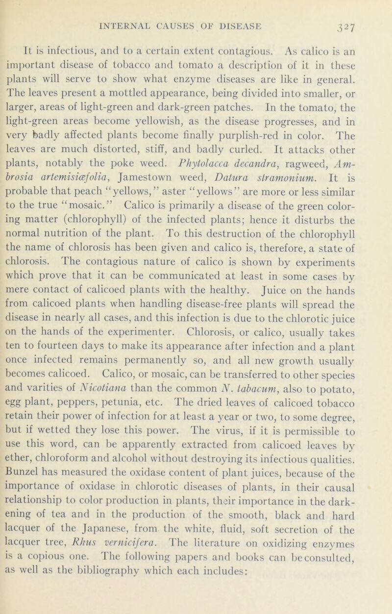It is infectious, and to a certain extent contagious. As calico is an important disease of tobacco and tomato a description of it in these plants will serve to show what enzyme diseases are like in general. The leaves present a mottled appearance, being divided into smaller, or larger, areas of light-green and dark-green patches. In the tomato, the light-green areas become yellowish, as the disease progresses, and in very badly affected plants become finally purplish-red in color. The leaves are much distorted, stiff, and badly curled. It attacks other plants, notably the poke weed. Phytolacca decandra, ragweed, Am- brosia artemisicefolia, Jamestown weed, Datura stramonium. It is probable that peach “yellows,” aster “yellows” are more or less similar to the true “mosaic.” Calico is primarily a disease of the green color- ing matter (chlorophyll) of the infected plants; hence it disturbs the normal nutrition of the plant. To this destruction of the chlorophyll the name of chlorosis has been given and calico is, therefore, a state of chlorosis. The contagious nature of calico is shown by experiments which prove that it can be communicated at least in some cases by mere contact of calicoed plants with the healthy. Juice on the hands from calicoed plants when handling disease-free plants will spread the disease in nearly all cases, and this infection is due to the chlorotic juice on the hands of the experimenter. Chlorosis, or calico, usually takes ten to fourteen days to make its appearance after infection and a plant once infected remains permanently so, and all new growth usually becomes calicoed. Calico, or mosaic, can be transferred to other species and varities of Nicotiana than the common N. tabacum, also to potato, egg plant, peppers, petunia, etc. The dried leaves of calicoed tobacco retain their power of infection for at least a year or two, to some degree, but if wetted they lose this power. The virus, if it is permissible to use this word, can be apparently extracted from calicoed leaves by ether, chloroform and alcohol without destroying its infectious qualities. Bunzel has measured the oxidase content of plant juices, because of the importance of oxidase in chlorotic diseases of plants, in their causal relationship to color production in plants, their importance in the dark- ening of tea and in the production of the smooth, black and hard lacquer of the Japanese, from the white, fluid, soft secretion of the lacquer tree, Rhus vernicifera. The literature on oxidizing enzymes is a copious one. The following papers and books can be consulted, as well as the bibliography which each includes: