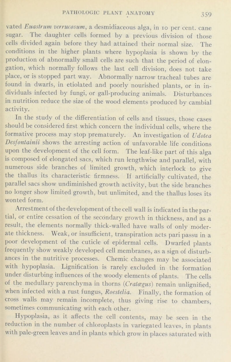 vatecl Euastrum verrucosum, a desmidiaceous alga, in io per cent, cane sugar. The daughter cells formed by a previous division of those cells divided again before they had attained their normal size. The conditions in the higher plants where hypoplasia is shown by the production of abnormally small cells are such that the period of elon- gation, which normally follows the last cell division, does not take place, or is stopped part way. Abnormally narrow tracheal tubes are found in dwarfs, in etiolated and poorly nourished plants, or in in- dividuals infected by fungi, or gall-producing animals. Disturbances in nutrition reduce the size of the wood elements produced by cambial activity. In the study of the differentiation of cells and tissues, those cases should be considered first which concern the individual cells, where the formative process may stop prematurely. An investigation of Udotca Desfontainii shows the arresting action of unfavorable life conditions upon the development of the cell form. The leaf-like part of this alga is composed of elongated sacs, which run lengthwise and parallel, with numerous side branches of limited growth, which interlock to give the thallus its characteristic firmness. If artificially cultivated, the parallel sacs show undiminished growth activity, but the side branches no longer show limited growth, but unlimited, and the thallus loses its wonted form. Arrestment of the development of the cell wall is indicated in the par- tial, or entire cessation of the secondary growth in thickness, and as a result, the elements normally thick-walled have walls of only moder- ate thickness. Weak, or insufficient, transpiration acts pari passu in a poor development of the cuticle of epidermal cells. Dwarfed plants frequently show weakly developed cell membranes, as a sign of disturb- ances in the nutritive processes. Chemic changes may be associated with hypoplasia. Lignification is rarely excluded in the formation under disturbing influences of the woody elements of plants. The cells of the medullary parenchyma in thorns (Cratagus) remain unlignified, when infected with a rust fungus, Roestelia. Finally, the formation of cross walls may remain incomplete, thus giving rise to chambers, sometimes communicating with each other. Hypoplasia, as it affects the cell contents, may be seen in the reduction in the number of chloroplasts in variegated leaves, in plants with pale-green leaves and in plants which grow in places saturated with