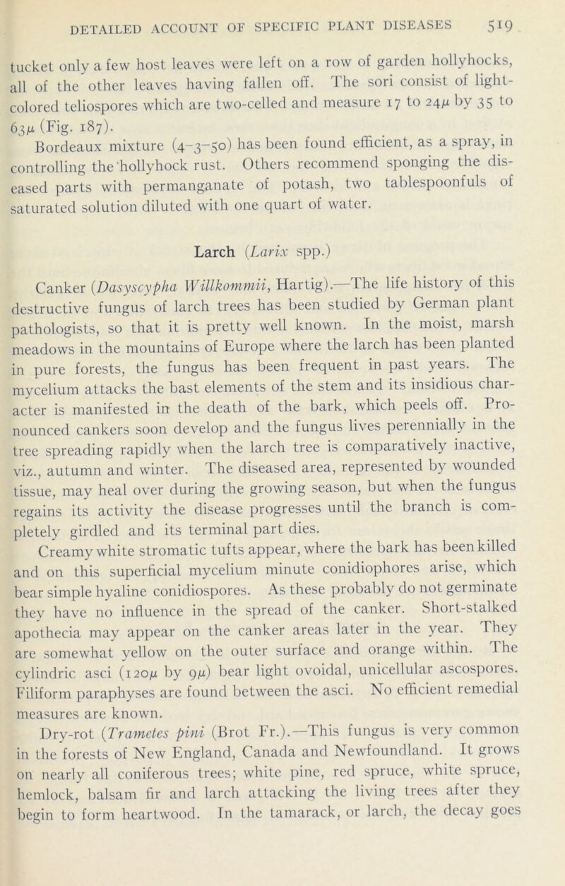 tucket only a few host leaves were left on a row of garden hollyhocks, all of the other leaves having fallen off. The sori consist of light- colored teliospores which are two-celled and measure 17 to 24/x by 35 63/x (Fig. 187). Bordeaux mixture (4—3—50) has been found efficient, as a spray, in controlling the'hollyhock rust. Others recommend sponging the dis- eased parts with permanganate of potash, two tablespoonfuls of saturated solution diluted with one quart of water. Larch (Larix spp.) Canker (Dasyscypha Willkommii, Hartig).—The life history of this destructive fungus of larch trees has been studied by German plant pathologists, so that it is pretty well known. In the moist, marsh meadows in the mountains of Europe where the larch has been planted in pure forests, the fungus has been frequent in past years. The mycelium attacks the bast elements of the stem and its insidious char- acter is manifested in the death of the bark, which peels off. Pro- nounced cankers soon develop and the fungus lives perennially in the tree spreading rapidly wdien the larch tree is comparatively inactive, viz., autumn and winter. The diseased area, represented by wounded tissue, may heal over during the growing season, but when the fungus regains its activity the disease progresses until the branch is com- pletely girdled and its terminal part dies. Creamy white stromatic tufts appear, where the baik has been killed and on this superficial mycelium minute conidiophores arise, which bear simple hyaline conidiospores. As these probably do not germinate thev have no influence in the spread of the canker. Short-stalked apothecia may appear on the canker areas later in the yeai. I hey are somewhat yellow on the outer surface and orange within. I he cylindric asci (120/x by 9/1) bear light ovoidal, unicellular ascospores. Filiform paraphyses are found between the asci. No elficient remedial measures are known. Dry-rot (Trametes pini (Brot Fr.). — I his fungus is very common in the forests of New England, Canada and Newfoundland. It grows on nearly all coniferous trees; white pine, red spruce, white spruce, hemlock, balsam fir and larch attacking the living trees alter they begin to form heartwood. In the tamarack, or larch, the decay goes