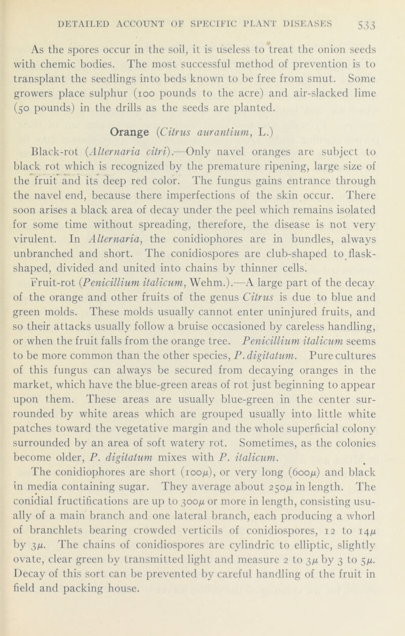 As the spores occur in the soil, it is useless to treat the onion seeds with chemic bodies. The most successful method of prevention is to transplant the seedlings into beds known to be free from smut. Some growers place sulphur (100 pounds to the acre) and air-slacked lime (50 pounds) in the drills as the seeds are planted. Orange (Citrus aurantium, L.) Black-rot (Alternaria citri).—Only navel oranges are subject to black rot which is recognized by the premature ripening, large size of the fruit and its deep red color. The fungus gains entrance through the navel end, because there imperfections of the skin occur. There soon arises a black area of decay under the peel which remains isolated for some time without spreading, therefore, the disease is not very virulent. In Alternaria, the conidiophores are in bundles, always unbranched and short. The conidiospores are club-shaped to flask- shaped, divided and united into chains by thinner cells. Fruit-rot {Penicillium italicum, Wehm.).—A large part of the decay of the orange and other fruits of the genus Citrus is due to blue and green molds. These molds usually cannot enter uninjured fruits, and so their attacks usually follow a bruise occasioned by careless handling, or when the fruit falls from the orange tree. Penicillium italicum seems to be more common than the other species, P. digitatum. Pure cultures of this fungus can always be secured from decaying oranges in the market, which have the blue-green areas of rot just beginning to appear upon them. These areas are usually blue-green in the center sur- rounded by white areas which are grouped usually into little white patches toward the vegetative margin and the whole superficial colony surrounded by an area of soft watery rot. Sometimes, as the colonies become older, P. digitatum mixes with P. italicum. The conidiophores are short (ioo^u), or very long (600/u) and black in media containing sugar. They average about 250/i in length. The conidial fructifications are up to 300n or more in length, consisting usu- ally of a main branch and one lateral branch, each producing a whorl of branchlets bearing crowded verticils of conidiospores, 12 to 14// by 3/z. The chains of conidiospores are cylindric to elliptic, slightly ovate, clear green by transmitted light and measure 2 to 3/1 by 3 to 5/x. Decay of this sort can be prevented by careful handling of the fruit in field and packing house.