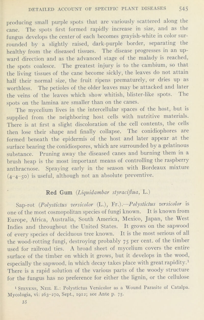 producing small purple spots that arc variously scattered along the cane. The spots first formed rapidly increase in size, and as the fungus develops the center of each becomes grayish-white in color sur- rounded by a slightly raised, dark-purple border, separating the healthy from the diseased tissues. The disease progresses in an up- ward direction and as the advanced stage of the malady is reached, the spots coalesce. The greatest injury is to the cambium, so that the living tissues of the cane become sickly, the leaves do not attain half their normal size, the fruit ripens prematurely, or dries up as worthless. The petioles of the older leaves may be attacked and later the veins of the leaves which show whitish, blister-like spots. The spots on the lamina are smaller than on the canes. The mycelium lives in the intercellular spaces of the host, but is supplied from the neighboring host cells with nutritive materials. There is at first a slight discoloration of the cell contents, the cells then lose their shape and finally collapse. The conidiophores are formed beneath the epidermis of the host and later appear at the surface bearing the conicliospores, which are surrounded by a gelatinous substance. Pruning away the diseased canes and burning them in a brush heap is the most important means of controlling the raspberry anthracnose. Spraying early in the season with Bordeaux mixture (4-4-50) is useful, although not an absolute preventive. Red Gum (.Liquidambar styraciflua, L.) Sap-rot (.Polystictus versicolor (L.), Fr.).—Polystictus versicolor is one of the most cosmopolitan species of fungi known. It is known from Europe, Africa, Australia, South America, Mexico, Japan, the West Indies and throughout the United States. It grows on the sapwood of every species of deciduous tree known. It is the most serious of all the wood-rotting fungi, destroying probably 75 per cent, of the timber used for railroad ties. A broad sheet of mycelium covers the entire surface of the timber on which it grows, but it develops in the wood, especially the sapwood. in which decay takes place with great rapidity.1 There is a rapid solution of the various parts of the woody structure for the fungus has no preference for either the lignin, or the cellulose 1 Stevens, Neil E.: Polystictus Versicolor as a Wound Parasite of Catalpa. Mycologia, vi: 263-270, Sept., 1912; see Ante p. 75. 35