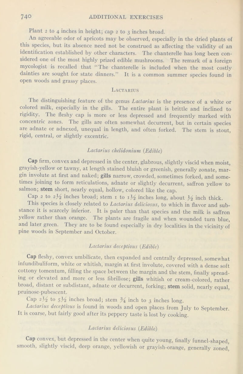 Plant 2 to 4 inches in height; cap 2 to 3 inches broad. An agreeable odor of apricots may be observed, especially in the dried plants of this species, but its absence need not be construed as affecting the validity of an identification established by other characters. The chanterelle has long been con- sidered one of the most highly prized edible mushrooms. The remark of a foreign mycologist is recalled that “The chanterelle is included when the most costly dainties are sought for state dinners.” It is a common summer species found in open woods and grassy places. Lactarius I he distinguishing feature of the genus Lactarius is the presence of a white or colored milk, especially in the gills. The entire plant is brittle and inclined to rigidity. 'I he fleshy cap is more or less depressed and frequently marked with concentric zones. The gills are often somewhat decurrent, but in certain species are adnate or adnexed, unequal in length, and often forked. The stem is stout, rigid, central, or slightly excentric. Lactarius chelidonium (Edible) Cap firm, convex and depressed in the center, glabrous, slightly viscid when moist, grayish-yellow or tawny, at length stained bluish or greenish, generally zonate, mar- gin involute at first and naked; gills narrow, crowded, sometimes forked, and some- times joining to form reticulations, adnate or slightly decurrent, saffron yellow to salmon; stem short, nearly equal, hollow, colored like the cap. Cap 2 to 2^2 inches broad; stem 1 to 1J2 inches long, about J2 inch thick. This species is closely related to Lactarius deliciosus, to which in flavor and sub- stance it is scarcely inferior. It is paler than that species and the milk is saffron yellow rather than orange. The plants are fragile and when wounded turn blue, and later green. They arc to be found especially in dry localities in the vicinity of pine woods in September and October. Lactarius deceptions (Edible) Cap fleshy, convex umbilicate, then expanded and centrally depressed, somewhat infundibuliform, white or whitish, margin at first involute, covered with a dense soft cottony tomentum, filling the space between the margin and the stem, finally spread- ing or elevated and more or less fibrillose; gills whitish or cream-colored, rather broad, distant or subdistant, adnate or decurrent, forking; stem solid, nearly equal, pruinose-pubescent. Cap 2>£ to 5 ><2 inches broad; stem % inch to 3 inches long. Lactarius deceptions is found in woods and open places from July to September. It is coarse, but fairly good after its peppery taste is lost by cooking. Lactarius deliciosus (Edible) Cap convex, but depressed in the center when quite young, finally funnel-shaped, smooth, slightly viscid, deep orange, yellowish or grayish-orange, generally zoned,