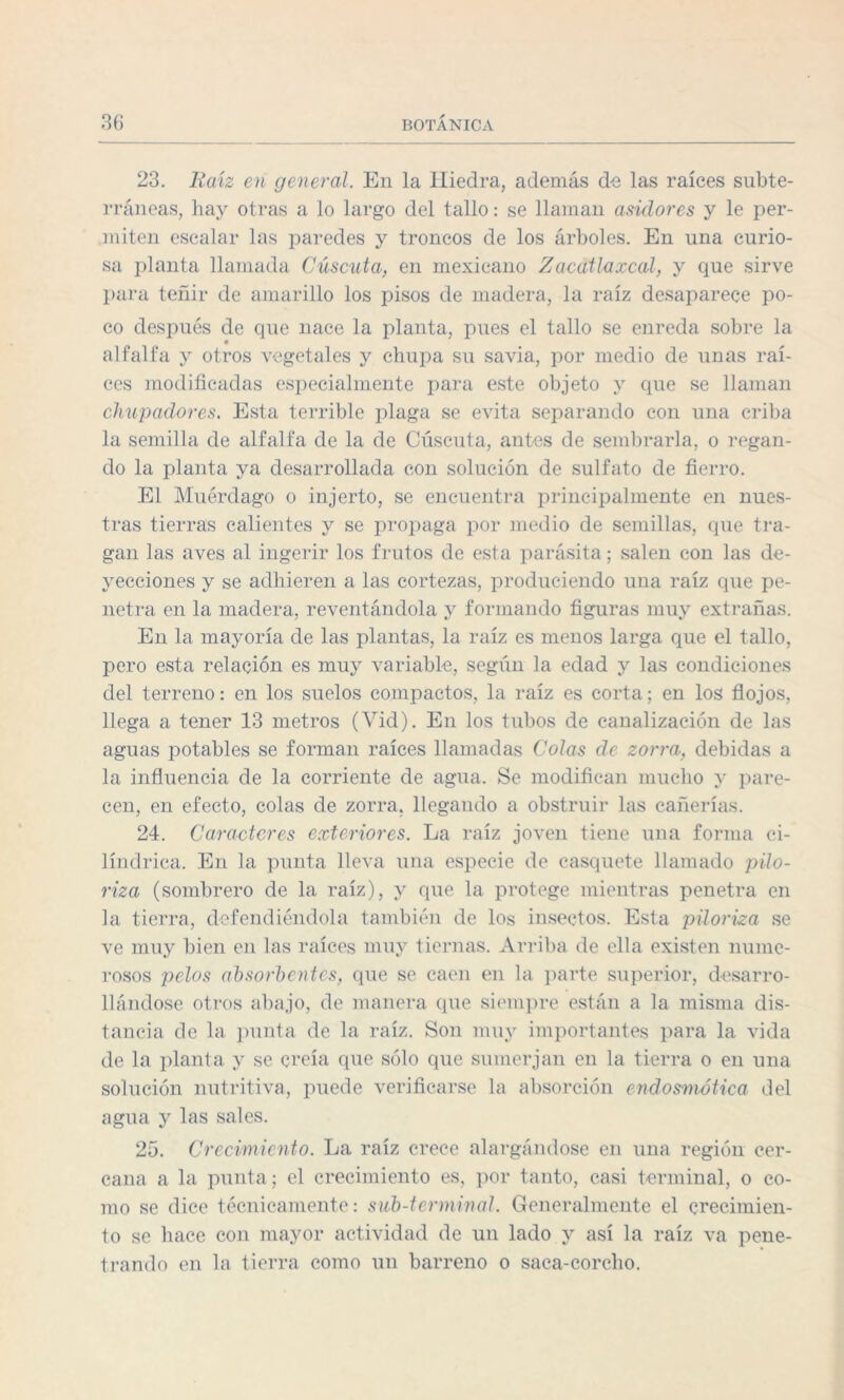 23. Raíz en general. En la Hiedra, además de las raíces subte¬ rráneas, hay otras a lo largo del tallo: se llaman asidores y le per¬ miten escalar las paredes y troncos de los árboles. En una curio¬ sa planta llamada Cuscuta, en mexicano Zacatlaxcal, y que sirve para teñir de amarillo los pisos de madera, la raíz desaparece po¬ co después de que nace la planta, pues el tallo se enreda sobre la alfalfa y otros vegetales y chupa su savia, por medio de unas raí¬ ces modificadas especialmente para este objeto y que se llaman chupadores. Esta terrible plaga se evita separando con una criba la semilla de alfalfa de la de Cuscuta, antes de sembrarla, o regan¬ do la planta ya desarrollada con solución de sulfato de fierro. El Muérdago o injerto, se encuentra principalmente en nues¬ tras tierras calientes y se propaga por medio de semillas, que tra¬ gan las aves al ingerir los frutos de esta parásita; salen con las de¬ yecciones y se adhieren a las cortezas, produciendo una raíz que pe¬ netra en la madera, reventándola y formando figuras muy extrañas. En la mayoría de las plantas, la raíz es menos larga que el tallo, pero esta relación es muy variable, según la edad y las condiciones del terreno: en los suelos compactos, la raíz es corta; en los flojos, llega a tener 13 metros (Vid). En los tubos de canalización de las aguas potables se forman raíces llamadas Colas de zorra, debidas a la influencia de la corriente de agua. Se modifican mucho y pare¬ cen, en efecto, colas de zorra, llegando a obstruir las cañerías. 24. Caracteres exteriores. La raíz joven tiene una forma ci¬ lindrica. En la punta lleva una especie de casquete llamado pilo- riza (sombrero de la raíz), y que la protege mientras penetra en la tierra, defendiéndola también de los insectos. Esta piloriza se ve muy bien en las raíces muy tiernas. Arriba de ella existen nume¬ rosos pelos absorbentes, que se caen en la parte superior, desarro¬ llándose otros abajo, de manera que siempre están a la misma dis¬ tancia de la punta de la raíz. Son muy importantes para la vida de la planta y se creía que sólo que sumerjan en la tierra o en una solución nutritiva, puede verificarse la absorción endosmótica del agua y las sales. 25. Crecimiento. La raíz crece alargándose en una región cer¬ cana a la punta; el crecimiento es, por tanto, casi terminal, o co¬ mo se dice técnicamente: sub-terminal. Generalmente el crecimien¬ to se hace con mayor actividad de un lado y así la raíz va pene¬ trando en la tierra como un barreno o saca-corcho.