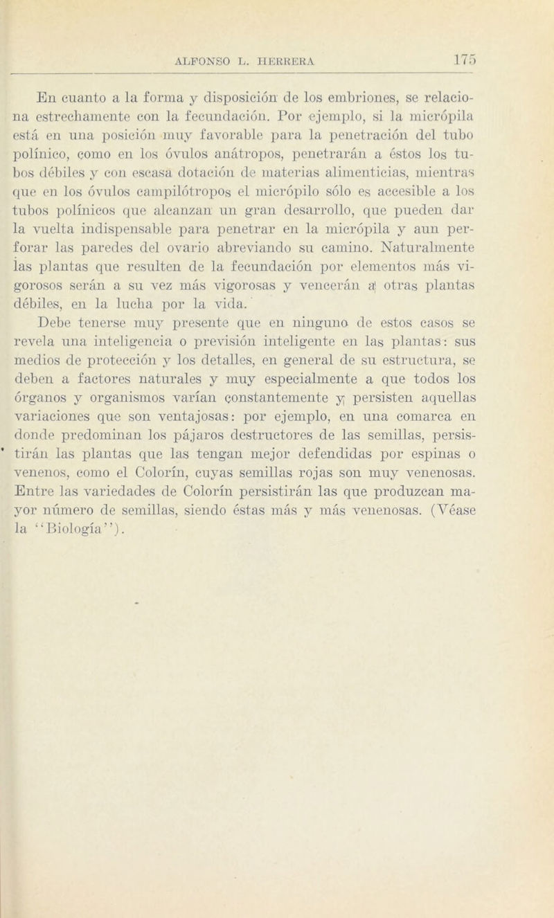 En cuanto a la forma y disposición de los embriones, se relacio¬ na estrechamente con la fecundación. Por ejemplo, si la micrópila está en una posición muy favorable para la penetración del tubo polínico, como en los óvulos anátropos, penetrarán a éstos los tu¬ bos débiles y con escasa dotación de materias alimenticias, mientras que en los óvulos campilótropos el micrópilo sólo es accesible a los tubos polínicos que alcanzan un gran desarrollo, que pueden dal¬ la vuelta indispensable para penetrar en la micrópila y aun per¬ forar las paredes del ovario abreviando su camino. Naturalmente las plantas que resulten de la fecundación por elementos más vi¬ gorosos serán a su vez más vigorosas y vencerán a! otras plantas débiles, en la lucha por la vida. Debe tenerse muy presente que en ninguno de estos casos se revela una inteligencia o previsión inteligente en las plantas: sus medios de protección y los detalles, en general de su estructura, se deben a factores naturales y muy especialmente a que todos los órganos y organismos varían constantemente y persisten aquellas variaciones que son ventajosas: por ejemplo, en una comarca en donde predominan los pájaros destructores de las semillas, persis¬ tirán las plantas que las tengan mejor defendidas por espinas o venenos, como el Colorín, cuyas semillas rojas son muy venenosas. Entre las variedades de Colorín persistirán las que produzcan ma¬ yor número de semillas, siendo éstas más y más venenosas. (Véase la “Biología”).
