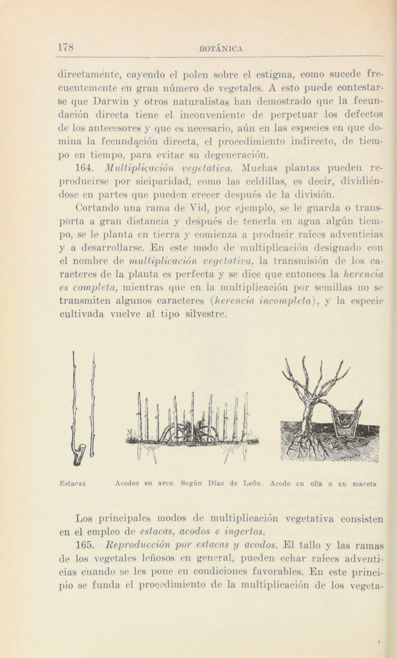 directamente, cayendo el polen sobre el estigma, como sucede fre¬ cuentemente en gran número de vegetales. A esto puede contestar¬ se que Darwin y otros naturalistas han demostrado que la fecun¬ dación directa tiene el inconveniente de perpetuar los defectos de los antecesores y que es necesario, aún en las especies en que do¬ mina la fecundación directa, el procedimiento indirecto, de tiem¬ po en tiempo, para evitar su degeneración. 164. Multiplicación vegetativa. Muchas plantas pueden re¬ producirse por siciparidad, como las celdillas, es decir, dividién¬ dose en partes que pueden crecer después de la división. Cortando una rama de Vid, por ejemplo, se le guarda o trans¬ porta a gran distancia y después de tenerla en agua algún tiem¬ po, se le planta en tierra y comienza a producir raíces adventicias y a desarrollarse. En este modo de multiplicación designado con el nombre de multiplicación vegetativa, la transmisión de los ca¬ racteres de la planta es perfecta y se dice que entonces la herencia es completa, mientras que en la multiplicación por semillas no se transmiten algunos caracteres (herencia incompleta), y la especie cultivada vuelve al tipo silvestre. Estacas Acodos en arco. Según Díaz de León. Acodo cu olla o en maceta Los principales modos de multiplicación vegetativa consisten en el empleo de estacas, acodos e ingertos. 165. Reproducción por estacas y acodos. El tallo y las ramas de los vegetales leñosos en general, pueden echar raíces adventi¬ cias cuando se les pone en condiciones favorables. En este princi¬ pio se funda el procedimiento de la multiplicación de los vegeta-