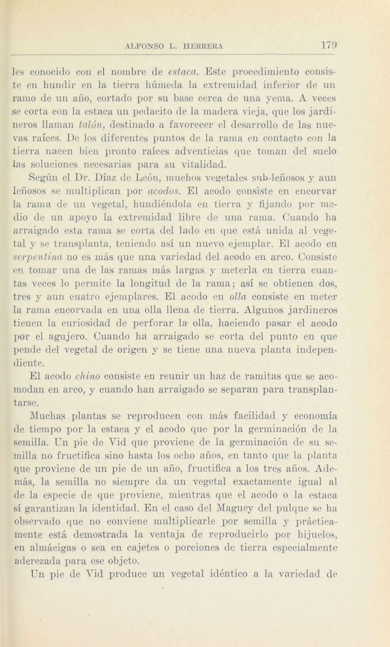 les conocido con el nombre de estaca. Este procedimiento consis¬ te en hundir en la tierra húmeda la extremidad inferior de un ramo de un año, cortado por su base cerca de una yema. A veces se corta con la estaca un pedacito de la madera vieja, que los jardi¬ neros llaman talón, destinado a favorecer el desarrollo de las nue¬ vas raíces. De los diferentes puntos de la rama en contacto con la tierra nacen bien pronto raíces adventicias que toman del suelo las soluciones necesarias para su vitalidad. Según el Dr. Díaz de León, muchos vegetales sub-leñosos y aun leñosos se multiplican por acodos. El acodo consiste en encorvar la rama de un vegetal, hundiéndola en tierra y fijando por me¬ dio de un apoyo la extremidad libre de una rama. Cuando ha arraigado esta rama se corta del lado en que está unida al vege¬ tal y se transplanta, teniendo así un nuevo ejemplar. El acodo en serpentina no es más que una variedad del acodo en arco. Consiste en tomar una de las ramas más largas y meterla en tierra cuan¬ tas veces lo permite la longitud de la rama; así se obtienen dos, tres y aun cuatro ejemplares. El acodo en olla consiste en meter la rama encorvada en una olla llena de tierra. Algunos jardineros tienen la curiosidad de perforar la- olla, haciendo pasar el acodo por el agujero. Cuando ha arraigado se corta del punto en que pende del vegetal de origen y se tiene una nueva planta indepen¬ diente. El acodo chino consiste en reunir un haz de ramitas que se aco¬ modan en arco, y cuando han arraigado se separan para transplan¬ tarse. Muchas plantas se reproducen con más facilidad y economía de tiempo por la estaca y el acodo que por la germinación de la semilla. Un pie de Vid que proviene de la germinación de su se¬ milla no fructifica sino hasta los ocho años, en tanto que la planta que proviene de un pie de un año, fructifica a los tres años. Ade¬ más, la semilla no siempre da un vegetal exactamente igual al de la especie de que proviene, mientras que el acodo o la estaca sí garantizan la identidad. En el caso del Maguey del pulque se ha observado que no conviene multiplicarle por semilla y práctica¬ mente está demostrada la ventaja de reproducirlo por hijuelos, en almácigas o sea en cajetes o porciones de tierra especialmente aderezada para ese objeto. Un pie de Vid produce un vegetal idéntico a la variedad de