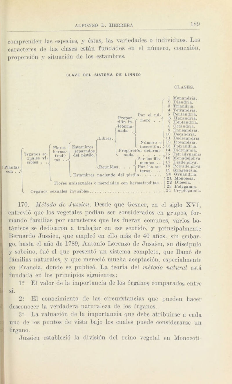 comprenden las especies, y estas, las Viudedades o individuos. Los caracteres de las clases están fundados en el número, conexión, proporción y situación de los estambres. CLAVE DEL SISTEMA DE LINNEO CLASES. Plantas con Organos se¬ xuales vi¬ sibles . .. Flores herma frodi- tas . Estambres separados del pistilo. ,Libres. 1 2 3 4 _ Por el nú- 5 Propor- 6 :ión in- í >nero • • 7 ,-letermi- 8 nada . 9 8 10 ''•11 Número e 12 inserción. ; 13 Proporción determi- 14 nada.Ll5 ,-Por los fila- f16 r mentos . . ^17 ^Reunidos. . . ó Por las an- 18 l teras. . . 10 Estambres naciendo del pistilo. 20 Monandria. Diandria. Triandria. Tetrandria. Pentandria. Hexandria. Heptandria. Octandria. Enneandria. Decandria. Dodecandria Icosandria. Polyandria. Didynamia. Tetradynamia Monadelphya Diadelphya. Polyadelphya Syngenesia. Gynandria. Organos sexuales 21 Monoecia. 22 Dioecia. 23 Polygamia. invisibles.24 Cryptogamia. Flores unisexuales o mezcladas con bermafroditas.. 170. Método de Jussieu. Desde que Gesner, en el siglo XVI, entrevio que los vegetales podían ser considerados en grupos, for¬ mando familias por caracteres que les fueran comunes, varios bo¬ tánicos se dedicaron a trabajar en ese sentido, y principalmente Bernardo Jussieu, que empleó en ello más de 40 años; sin embar¬ go, hasta el año de 1789, Antonio Lorenzo de Jussieu, su discípulo y sobrino, fué el que presentó un sistema completo, que llamó de familias naturales, y que mereció mucha aceptación, especialmente en Francia, donde se publicó. La teoría del método natural está fundada en los principios siguientes: 1? El valor de la importancia de los órganos comparados entre sí. 2? El conocimiento de las circunstancias que pueden hacer desconocer la verdadera naturaleza de los órganos. 3? La valuación de la importancia que debe atribuirse a cada uno de los puntos de vista bajo los cuales puede considerarse un órgano. Jussieu estableció la división del reino vegetal en Monocoti-