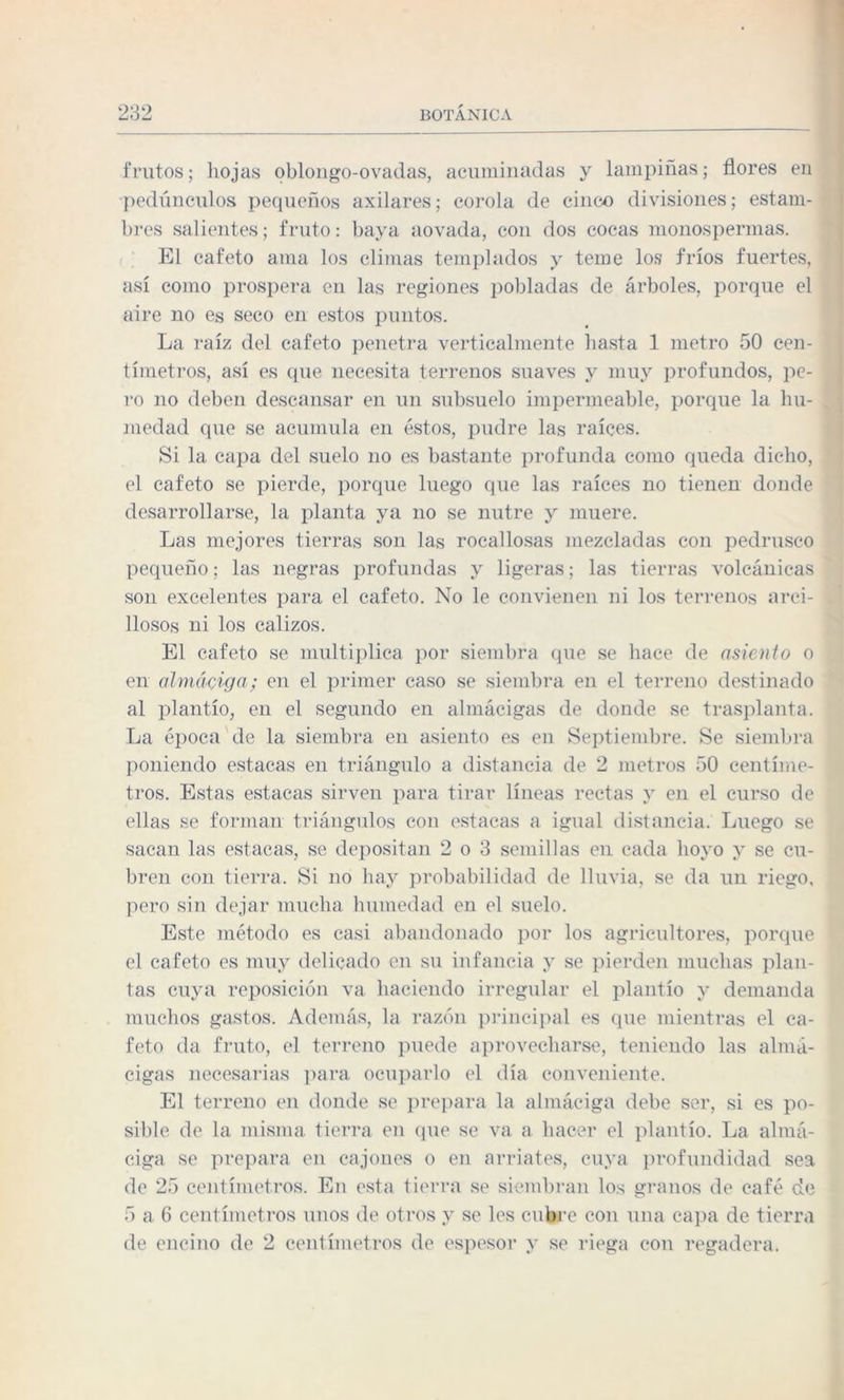 frutos; hojas oblongo-ovadas, acuminadas y lampiñas; flores en pedúnculos pequeños axilares; corola de cinco divisiones; estam¬ bres salientes; fruto: baya aovada, con dos cocas monospermas. El cafeto ama los climas templados y teme los fríos fuertes, así como prospera en las regiones pobladas de árboles, porque el aire no es seco en estos puntos. La raíz del cafeto penetra verticalmente basta 1 metro 50 cen¬ tímetros, así es (pie necesita terrenos suaves y muy profundos, pe¬ ro no deben descansar en un subsuelo impermeable, porque la hu¬ medad que se acumula en éstos, pudre las raíces. Si la capa del suelo no es bastante profunda como queda dicho, el cafeto se pierde, porque luego que las raíces no tienen donde desarrollarse, la planta ya no se nutre y muere. Las mejores tierras son las rocallosas mezcladas con pedrusco pequeño; las negras profundas y ligeras; las tierras volcánicas son excelentes para el cafeto. No le convienen ni los terrenos arci¬ llosos ni los calizos. El cafeto se multiplica por siembra que se hace de asiento o en almáciga; en el primer caso se siembra en el terreno destinado al plantío, en el segundo en almácigas de donde se trasplanta. La época de la siembra en asiento es en Septiembre. Se siembra poniendo estacas en triángulo a distancia de 2 metros 50 centíme¬ tros. Estas estacas sirven para tirar líneas rectas y en el curso de ellas se forman triángulos con estacas a igual distancia. Luego se sacan las estacas, se depositan 2 o 3 semillas en cada boyo y se cu¬ bren con tierra. Si no hay probabilidad de lluvia, se da un riego, pero sin dejar mucha humedad en el suelo. Este método es casi abandonado por los agricultores, porque el cafeto es muy delicado en su infancia y se pierden muchas plan¬ tas cuya reposición va haciendo irregular el plantío y demanda muchos gastos. Además, la razón principal es que mientras el ca¬ feto da fruto, el terreno puede aprovecharse, teniendo las almá¬ cigas necesarias para ocuparlo el día conveniente. El terreno en donde se prepara la almáciga debe ser, si es po¬ sible de la misma tierra en que se va a hacer el plantío. La almá¬ ciga se prepara en cajones o en arriates, cuya profundidad sea de 25 centímetros. En esta tierra se siembran los granos de café de 5 a 6 centímetros unos de otros y se les cubre con una capa de tierra de encino de 2 centímetros de espesor y se riega con regadera.