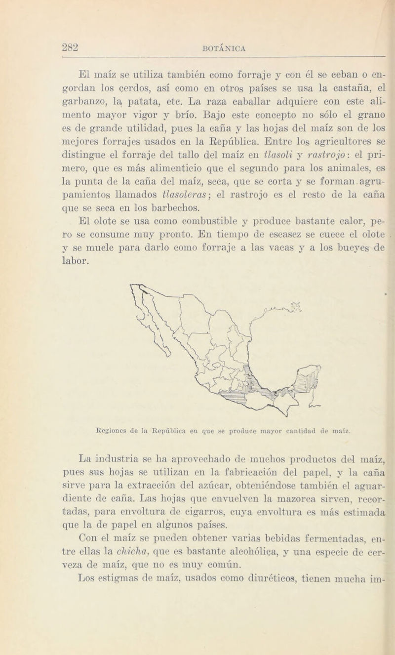 El maíz se utiliza también como forraje y con él se ceban o en¬ gordan los cerdos, así como en otros países se usa la castaña, el garbanzo, la. patata, etc. La raza caballar adquiere con este ali¬ mento mayor vigor y brío. Bajo este concepto no sólo el grano es de grande utilidad, pues la caña y las hojas del maíz son de los mejores forrajes usados en la República. Entre los agricultores se distingue el forraje del tallo del maíz en tlasoli y rastrojo: el pri¬ mero, que es más alimenticio que el segundo para los animales, es la punta de la caña del maíz, seca, que se corta y se forman agru- pamientos llamados tlasoleras; el rastrojo es el resto de la caña que se seca en los barbechos. El olote se usa como combustible y produce bastante calor, pe¬ ro se consume muy pronto. En tiempo de escasez se cuece el olote y se muele para darlo como forraje a las vacas y a los bueyes de labor. Regiones de la República en que se produce mayor cantidad de maíz. La industria se ha aprovechado de muchos productos del maíz, pues sus hojas se utilizan en la fabricación del papel, y la caña sirve para la extracción del azúcar, obteniéndose también el aguar¬ diente de caña. Las hojas que envuelven la mazorca sirven, recor¬ tadas, para envoltura de cigarros, cuya envoltura es más estimada que la de papel en algunos países. Con el maíz se pueden obtener varias bebidas fermentadas, en¬ tre ellas la chicha, que es bastante alcohólica, y una especie de cer¬ veza de maíz, que no es muy común. Los estigmas de maíz, usados como diuréticos, tienen mucha im-