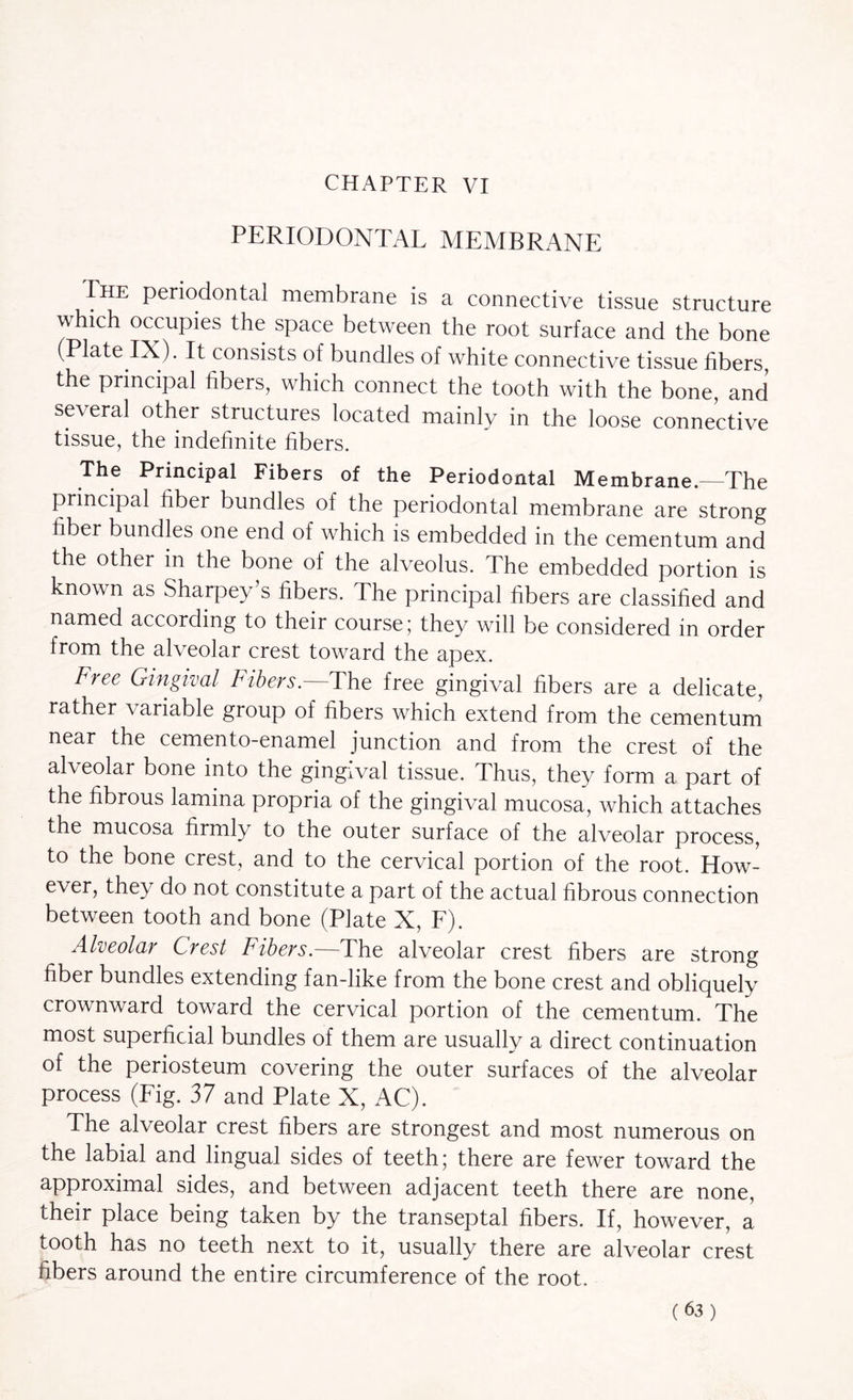 CHAPTER VI PERIODONTAL MEMBRANE The periodontal membrane is a connective tissue structure which occupies the space between the root surface and the bone (Plate IX). It consists of bundles of white connective tissue fibers, the principal fibers, which connect the tooth with the bone, and several other structures located mainly in the loose connective tissue, the indefinite fibers. The Principal Fibers of the Periodontal Membrane.—The principal fiber bundles of the periodontal membrane are strong fiber bundles one end of which is embedded in the cementum and the other m the bone of the alveolus. The embedded portion is known as Sharpey’s fibers. The principal fibers are classified and named according to their course; they will be considered in order from the alveolar crest toward the apex. Free Gingival Fibers.—The free gingival fibers are a delicate, rather variable group of fibers which extend from the cementum near the cemento-enamel junction and from the crest of the alveolar bone into the gingival tissue. Thus, they form a part of the fibrous lamina propria of the gingival mucosa, which attaches the mucosa firmly to the outer surface of the alveolar process, to the bone crest, and to the cervical portion of the root. Efow- ever, they do not constitute a part of the actual fibrous connection between tooth and bone (Plate X, E). Alveolar Crest Fibers.—The alveolar crest fibers are strong fiber bundles extending fan-like from the bone crest and obliquely crownward toward the cervical portion of the cementum. The most superficial bundles of them are usually a direct continuation of the periosteum covering the outer surfaces of the alveolar process (Eig. 37 and Plate X, AC). The alveolar crest fibers are strongest and most numerous on the labial and lingual sides of teeth; there are fewer toward the approximal sides, and between adjacent teeth there are none, their place being taken by the transeptal fibers. If, however, a tooth has no teeth next to it, usually there are alveolar crest fibers around the entire circumference of the root.