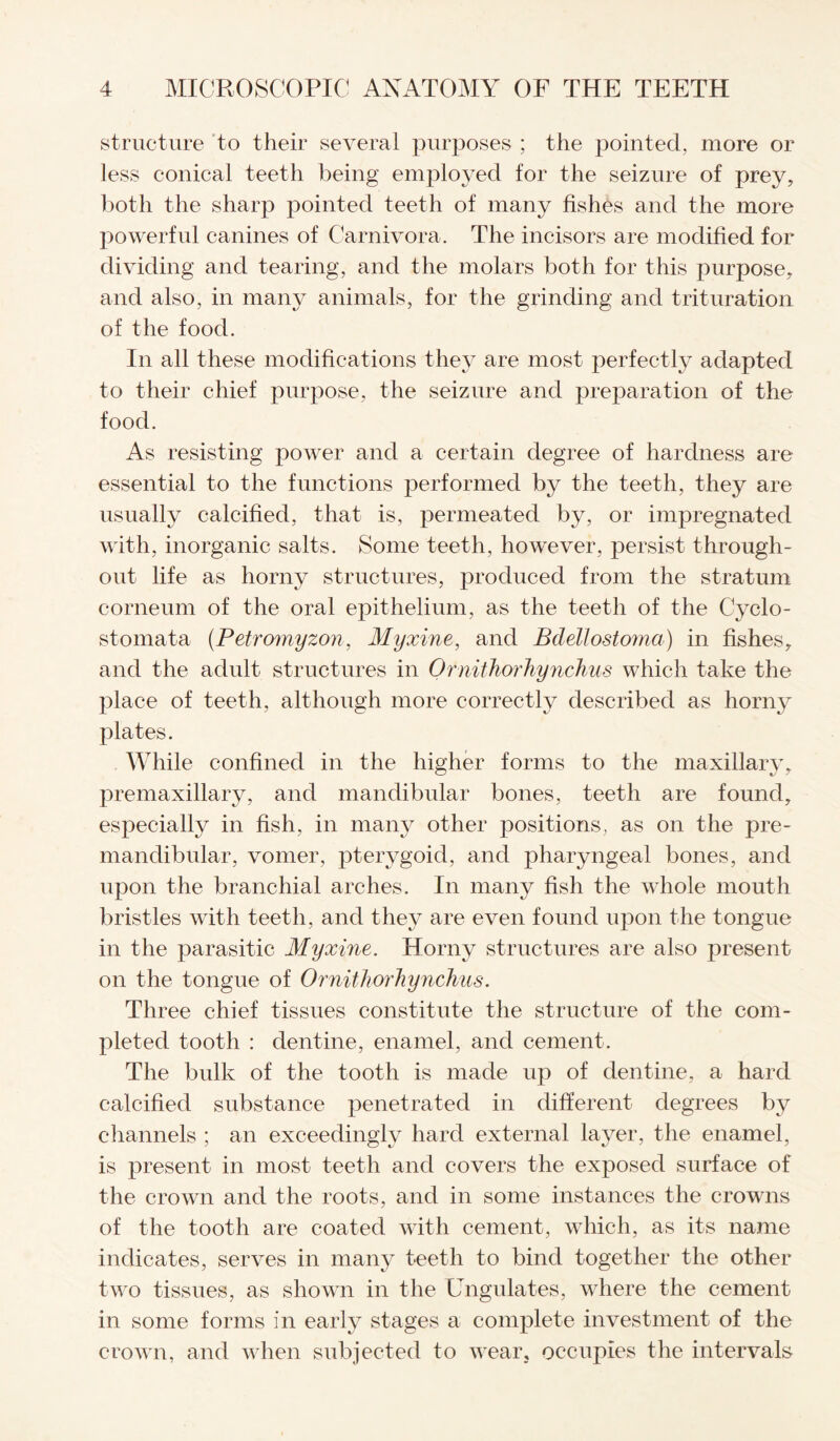 structure to their several purposes ; the pointed, more or less conical teeth being employed for the seizure of prey, both the sharp pointed teeth of many fishes and the more powerful canines of Carnivora. The incisors are modified for dividing and tearing, and the molars both for this purpose, and also, in many animals, for the grinding and trituration of the food. In all these modifications they are most perfectly adapted to their chief purpose, the seizure and preparation of the food. As resisting power and a certain degree of hardness are essential to the functions performed by the teeth, they are usually calcified, that is, permeated by, or impregnated with, inorganic salts. Some teeth, however, persist through¬ out life as horny structures, produced from the stratum corneum of the oral epithelium, as the teeth of the Cyclo- stomata (Petromyzon, Myxine, and Bdellostoma) in fishes, and the adult structures in Ornithorhynchus which take the place of teeth, although more correctly described as horny plates. While confined in the higher forms to the maxillary, premaxillary, and mandibular bones, teeth are found, especially in fish, in many other positions, as on the pre- mandibular, vomer, pterygoid, and pharyngeal bones, and upon the branchial arches. In many fish the whole mouth bristles with teeth, and they are even found upon the tongue in the parasitic Myxine. Homy structures are also present on the tongue of Ornithorhynchus. Three chief tissues constitute the structure of the com¬ pleted tooth : dentine, enamel, and cement. The bulk of the tooth is made up of dentine, a hard calcified substance penetrated in different degrees by channels ; an exceedingly hard external layer, the enamel, is present in most teeth and covers the exposed surface of the crown and the roots, and in some instances the crowns of the tooth are coated with cement, which, as its name indicates, serves in many teeth to bind together the other two tissues, as shown in the Ungulates, where the cement in some forms in early stages a complete investment of the crown, and when subjected to wear, occupies the intervals