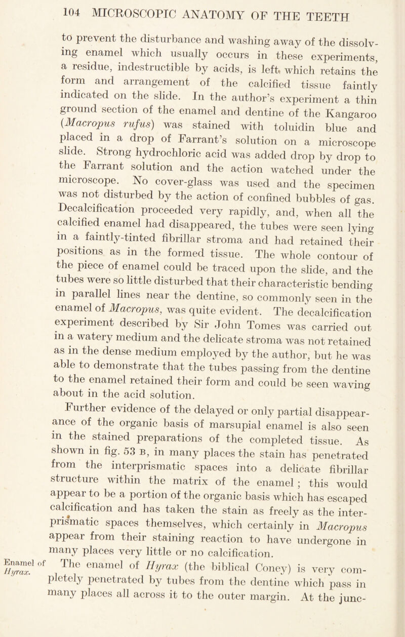 to prevent the disturbance and washing away of the dissolv- ing enamel which usually occurs in these experiments, a residue, indestructible by acids, is left which retains the form and arrangement of the calcified tissue faintly indicated on the slide. In the author’s experiment a thin ground section of the enamel and dentine of the Kangaroo (Macropus rufus) was stained with toluidin blue and placed in a drop of Farrant’s solution on a microscope slide. Strong hydrochloric acid was added drop by drop to the Farrant solution and the action watched under the microscope. No cover-glass was used and the specimen was not disturbed by the action of confined bubbles of gas. Decalcification proceeded very rapidly, and, when all the calcified enamel had disappeared, the tubes were seen lying m a faintly-tinted fibrillar stroma and had retained their positions as in the formed tissue. The whole contour of the piece of enamel could be traced upon the slide, and the tubes were so little disturbed that their characteristic bending in parallel lines near the dentine, so commonly seen in the enamel of Macropus, was quite evident. The decalcification experiment described by Sir John Tomes was carried out in a watery medium and the delicate stroma was not retained as in the dense medium employed by the author, but he was able to demonstrate that the tubes passing from the dentine to the enamel retained their form and could be seen waving about in the acid solution. Further evidence of the delayed or only partial disappear¬ ance of the organic basis of marsupial enamel is also seen in the stained preparations of the completed tissue. As shown in fig. 53 b, in many places the stain has penetrated from the interprismatic spaces into a delicate fibrillar structure within the matrix of the enamel ; this would appear to be a portion of the organic basis which has escaped calcification and has taken the stain as freely as the inter¬ prismatic spaces themselves, which certainly in Macropus appear from their staining reaction to have undergone in many places very little or no calcification. 0f The enamel of Hvrax (tho biblical Coney) is very com¬ pletely penetrated by tubes from the dentine which pass in many places all across it to the outer margin. At the junc-