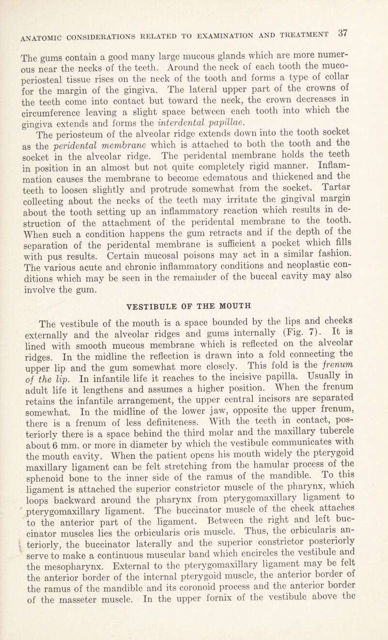 The gums contain a good many large mucous glands which are more numer¬ ous near the necks of the teeth. Around the neck of each tooth the muco- periosteal tissue rises on the neck of the tooth and forms a type of collar for the margin of the gingiva. The lateral upper part of the crowns of the teeth come into contact but toward the neck, the crown decreases in circumference leaving a slight space between each tooth into which the gingiva extends and forms the interdental papillae. The periosteum of the alveolar ridge extends down into the tooth socket as the peridental membrane which is attached to both the tooth and the socket in the alveolar ridge. The peridental membrane holds the teeth in position in an almost but not quite completely rigid manner. Inflam¬ mation causes the membrane to become edematous and thickened and the teeth to loosen slightly and protrude somewhat from the socket. Tartar collecting about the necks of the teeth may irritate the gingival margin about the tooth setting up an inflammatory reaction which results in de¬ struction of the attachment of the peridental membrane to the tooth. When such a condition happens the gum retracts and if the depth of the separation of the peridental membrane is sufficient a pocket which fills with pus results. Certain mucosal poisons may act in a similar fashion. The various acute and chronic inflammatory conditions and neoplastic con- ditions which may be seen in the remainder of the buccal cavity may also involve the gum. VESTIBULE OF THE MOUTH The vestibule of the mouth is a space bounded by the lips and cheeks externally and the alveolar ridges and gums internally (Fig. 7). It is lined with smooth mucous membrane which is reflected on the alveolar ridges. In the midline the reflection is drawn into a fold connecting the upper lip and the gum somewhat more closely. This fold is the frenum of the lip. In infantile life it reaches to the incisive papilla. Usually in adult life it lengthens and assumes a higher position. When the frenum retains the infantile arrangement, the upper central incisors are separated somewhat. In the midline of the lower jaw, opposite the upper frenum, there is a frenum of less definiteness. With the teeth in contact, pos¬ teriorly there is a space behind the third molar and the maxillary tubercle about 6 mm. or more in diameter by which the vestibule communicates with the mouth cavity. When the patient opens his mouth widely the pterygoid maxillary ligament can be felt stretching from the hamular process of the sphenoid bone to the inner side of the ramus of the mandible. To this ligament is attached the superior constrictor muscle of the pharynx, which loops backward around the pharynx from pterygomaxillary ligament to pterygomaxillary ligament. The buccinator muscle of the cheek attaches to the anterior part of the ligament. Between the right and left buc¬ cinator muscles lies the orbicularis oris muscle, dims, the orbicularis, an¬ teriorly, the buccinator laterally and the superior constrictor posteriorly serve to make a continuous muscular band which encircles the vestibule and the mesopharynx. External to the pterygomaxillary ligament, may be felt the anterior border of the internal pterygoid muscle, the anterioi border of the ramus of the mandible and its coronoid process and the anteiior border of the masseter muscle. In the upper fornix of the vestibule above the