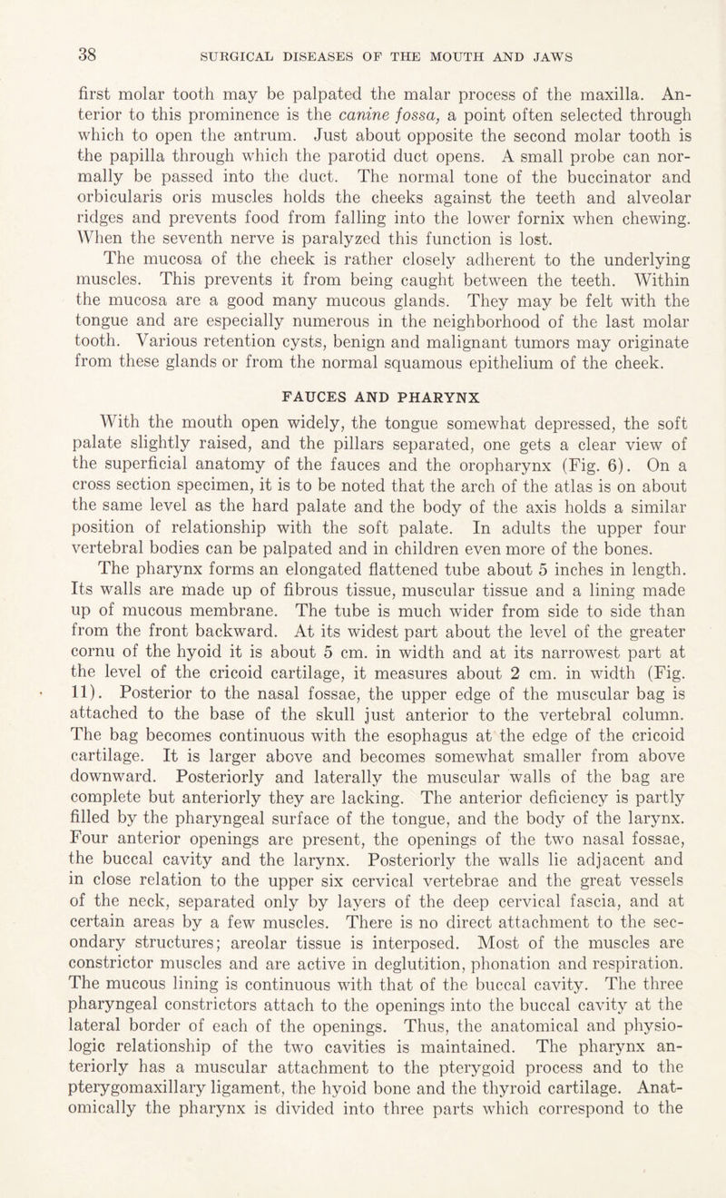 first molar tooth may be palpated the malar process of the maxilla. An¬ terior to this prominence is the canine fossa, a point often selected through which to open the antrum. Just about opposite the second molar tooth is the papilla through which the parotid duct opens. A small probe can nor¬ mally be passed into the duct. The normal tone of the buccinator and orbicularis oris muscles holds the cheeks against the teeth and alveolar ridges and prevents food from falling into the lower fornix when chewing. When the seventh nerve is paralyzed this function is lost. The mucosa of the cheek is rather closely adherent to the underlying muscles. This prevents it from being caught between the teeth. Within the mucosa are a good many mucous glands. They may be felt with the tongue and are especially numerous in the neighborhood of the last molar tooth. Various retention cysts, benign and malignant tumors may originate from these glands or from the normal squamous epithelium of the cheek. FAUCES AND PHARYNX With the mouth open widely, the tongue somewhat depressed, the soft palate slightly raised, and the pillars separated, one gets a clear view of the superficial anatomy of the fauces and the oropharynx (Fig. 6). On a cross section specimen, it is to be noted that the arch of the atlas is on about the same level as the hard palate and the body of the axis holds a similar position of relationship with the soft palate. In adults the upper four vertebral bodies can be palpated and in children even more of the bones. The pharynx forms an elongated flattened tube about 5 inches in length. Its walls are made up of fibrous tissue, muscular tissue and a lining made up of mucous membrane. The tube is much wider from side to side than from the front backward. At its widest part about the level of the greater cornu of the hyoid it is about 5 cm. in width and at its narrowest part at the level of the cricoid cartilage, it measures about 2 cm. in width (Fig. 11). Posterior to the nasal fossae, the upper edge of the muscular bag is attached to the base of the skull just anterior to the vertebral column. The bag becomes continuous with the esophagus at the edge of the cricoid cartilage. It is larger above and becomes somewhat smaller from above downward. Posteriorly and laterally the muscular walls of the bag are complete but anteriorly they are lacking. The anterior deficiency is partly filled by the pharyngeal surface of the tongue, and the body of the larynx. Four anterior openings are present, the openings of the two nasal fossae, the buccal cavity and the larynx. Posteriorly the walls lie adjacent and in close relation to the upper six cervical vertebrae and the great vessels of the neck, separated only by layers of the deep cervical fascia, and at certain areas by a few muscles. There is no direct attachment to the sec¬ ondary structures; areolar tissue is interposed. Most of the muscles are constrictor muscles and are active in deglutition, phonation and respiration. The mucous lining is continuous with that of the buccal cavity. The three pharyngeal constrictors attach to the openings into the buccal cavity at the lateral border of each of the openings. Thus, the anatomical and physio¬ logic relationship of the two cavities is maintained. The pharynx an¬ teriorly has a muscular attachment to the pterygoid process and to the pterygomaxillary ligament, the hyoid bone and the thyroid cartilage. Anat¬ omically the pharynx is divided into three parts which correspond to the