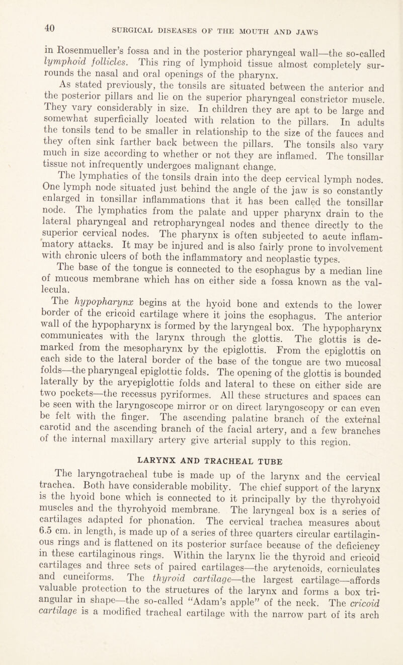 in Rosenmueller’s fossa and in the posterior pharyngeal wall—the so-called lymphoid follicles. This ring of lymphoid tissue almost completely sur¬ rounds the nasal and oral openings of the pharynx. As stated previously, the tonsils are situated between the anterior and the posterior pillars and lie on the superior pharyngeal constrictor muscle. They vary considerably in size. In children they are apt to be large and somewhat superficially located with relation to the pillars. In adults the tonsils tend to be smaller in relationship to the size of the fauces and they often sink farther back between the pillars. The tonsils also vary much in size according to whether or not they are inflamed. The tonsillar tissue not infrequently undergoes malignant change. The lymphatics of the tonsils drain into the deep cervical lymph nodes. One lymph node situated just behind the angle of the jaw is so constantly enlarged m tonsillar inflammations that it has been called the tonsillar node. The lymphatics from the palate and upper pharynx drain to the lateral pharyngeal and retropharyngeal nodes and thence directly to the superior cervical nodes. The pharynx is often subjected to acute inflam¬ matory attacks. It may be injured and is also fairly prone to involvement with chronic ulcers of both the inflammatory and neoplastic types. The base of the tongue is connected to the esophagus by a median line of mucous membrane which has on either side a fossa known as the val¬ lecula. The hypopharynx begins at the hyoid bone and extends to the lower boidei of the cricoid cartilage where it joins the esophagus. The anterior wall of the hypopharynx is formed by the laryngeal box. The hypopharynx communicates with the larynx through the glottis. The glottis is de- mark od fi oin the mesopharynx by the epiglottis. From the epiglottis on each side to the lateral border of the base of the tongue are two mucosal folds the pharyngeal epiglottic folds, dhe opening of the glottis is bounded laterally by the aryepiglottic folds and lateral to these on either side are two pockets—the recessus pyriformes. All these structures and spaces can be seen with the laryngoscope mirror or on direct laryngoscopy or can even be felt with the finger. The ascending palatine branch of the external carotid and the ascending branch of the facial artery, and a few branches of the internal maxillary artery give arterial supply to this region. LARYNX AND TRACHEAL TUBE The laiyngoti acheal tube is made up of the larynx and the cervical trachea. Both have considerable mobility. The chief support of the larynx is the hyoid bone which is connected to it principally by the thyrohyoid muscles and the thyrohyoid membrane. The laryngeal box is a series of cartilages adapted for phonation. The cervical trachea measures about 6.5 cm. in length, is made up of a series of three quarters circular cartilagin¬ ous rings and is flattened on its posterior surface because of the deficiency in these caitilaginous rings. Within the larynx lie the thyroid and cricoid cartilages and three sets of paired cartilages—the arytenoids, corniculates and cuneiforms. The thyroid cartilage—the largest cartilage—affords valuable protection to the structures of the larynx and forms a box tri¬ angular in shape the so-called “Adam’s apple” of the neck. The cricoid cartilage is a modified tracheal cartilage with the narrow part of its arch