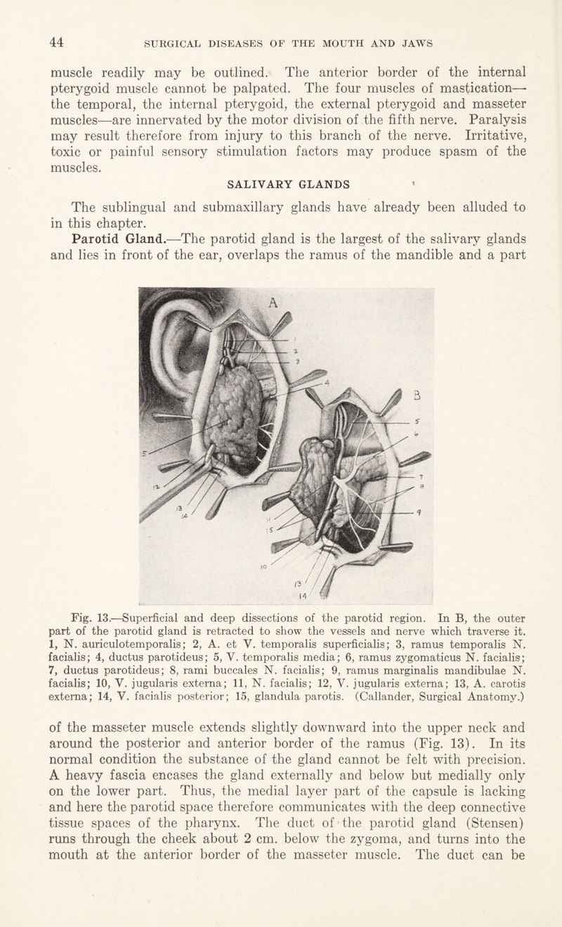 muscle readily may be outlined. The anterior border of the internal pterygoid muscle cannot be palpated. The four muscles of mastication— the temporal, the internal pterygoid, the external pterygoid and masseter muscles—are innervated by the motor division of the fifth nerve. Paralysis may result therefore from injury to this branch of the nerve. Irritative, toxic or painful sensory stimulation factors may produce spasm of the muscles. SALIVARY GLANDS ' The sublingual and submaxillary glands have already been alluded to in this chapter. Parotid Gland.—The parotid gland is the largest of the salivary glands and lies in front of the ear, overlaps the ramus of the mandible and a part Fig. 13.—Superficial and deep dissections of the parotid region. In B, the outer part of the parotid gland is retracted to show the vessels and nerve which traverse it. 1, N. auriculotemporalis; 2, A. et V. temporalis superficialis; 3, ramus temporalis N. facialis; 4, ductus parotideus; 5, V. temporalis media; 6, ramus zygomaticus N. facialis; 7, ductus parotideus; 8, rami buccales N. facialis; 9, ramus marginalis mandibulae N. facialis; 10, V. jugularis externa; 11, N. facialis; 12, V. jugularis externa; 13, A. carotis externa; 14, V. facialis posterior; 15, glandula parotis. (Callander, Surgical Anatomy.) of the masseter muscle extends slightly downward into the upper neck and around the posterior and anterior border of the ramus (Fig. 13). In its normal condition the substance of the gland cannot be felt with precision. A heavy fascia encases the gland externally and below but medially only on the lower part. Thus, the medial layer part of the capsule is lacking and here the parotid space therefore communicates with the deep connective tissue spaces of the pharynx. The duct of • the parotid gland (Stensen) runs through the cheek about 2 cm. below the zygoma, and turns into the mouth at the anterior border of the masseter muscle. The duct can be