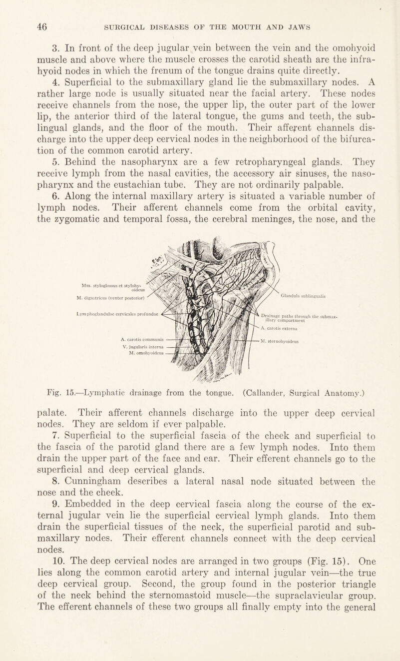 3. In front of the deep jugular vein between the vein and the omohyoid muscle and above where the muscle crosses the carotid sheath are the infra¬ hyoid nodes in which the frenum of the tongue drains quite directly. 4. Superficial to the submaxillary gland lie the submaxillary nodes. A rather large node is usually situated near the facial artery. These nodes receive channels from the nose, the upper lip, the outer part of the lower lip, the anterior third of the lateral tongue, the gums and teeth, the sub¬ lingual glands, and the floor of the mouth. Their afferent channels dis¬ charge into the upper deep cervical nodes in the neighborhood of the bifurca¬ tion of the common carotid artery. 5. Behind the nasopharynx are a few retropharyngeal glands. They receive lymph from the nasal cavities, the accessory air sinuses, the naso¬ pharynx and the eustachian tube. They are not ordinarily palpable. 6. Along the internal maxillary artery is situated a variable number of lymph nodes. Their afferent channels come from the orbital cavity, the zygomatic and temporal fossa, the cerebral meninges, the nose, and the Fig. 15.—Lymphatic drainage from the tongue. (Callander, Surgical Anatomy.) palate. Their afferent channels discharge into the upper deep cervical nodes. They are seldom if ever palpable. 7. Superficial to the superficial fascia of the cheek and superficial to the fascia of the parotid gland there are a few lymph nodes. Into them drain the upper part of the face and ear. Their efferent channels go to the superficial and deep cervical glands. 8. Cunningham describes a lateral nasal node situated between the nose and the cheek. 9. Embedded in the deep cervical fascia along the course of the ex¬ ternal jugular vein lie the superficial cervical lymph glands. Into them drain the superficial tissues of the neck, the superficial parotid and sub¬ maxillary nodes. Their efferent channels connect with the deep cervical nodes. 10. The deep cervical nodes are arranged in two groups (Fig. 15). One lies along the common carotid artery and internal jugular vein—-the true deep cervical group. Second, the group found in the posterior triangle of the neck behind the sternomastoid muscle—the supraclavicular group. The efferent channels of these two groups all finally empty into the general