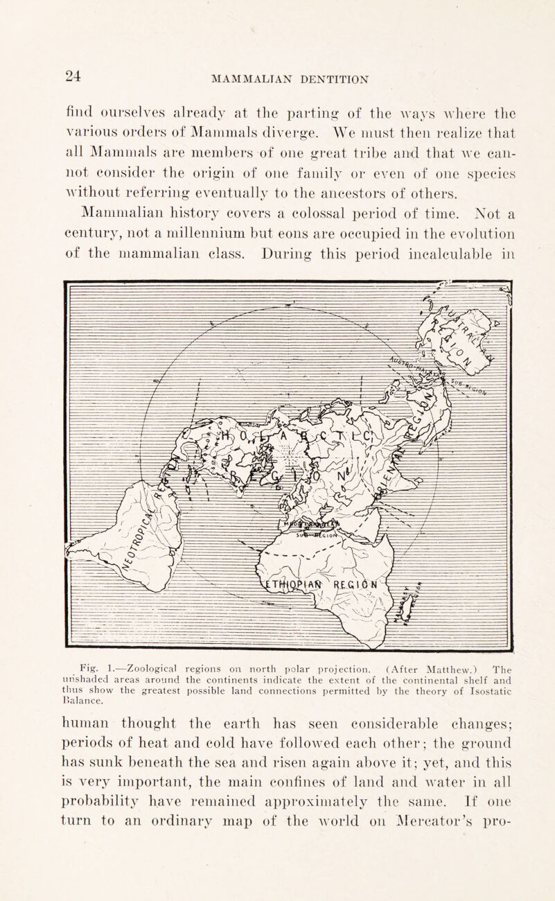 find ourselves already at the parting of the ways where the various orders of Mammals diverge. We must then realize that all Mammals are members of one great tribe and that we can¬ not consider the origin of one family or even of one species without referring eventually to the ancestors of others. Mammalian history covers a colossal period of time. Not a century, not a millennium but eons are occupied in the evolution of the mammalian class. During this period incalculable in Balance. human thought the earth has seen considerable changes; periods of heat and cold have followed each other; the ground has sunk beneath the sea and risen again above it; yet, and this is very important, the main confines of land and water in all probability have remained approximately the same. If one turn to an ordinary map of the world on Mercator’s pro-