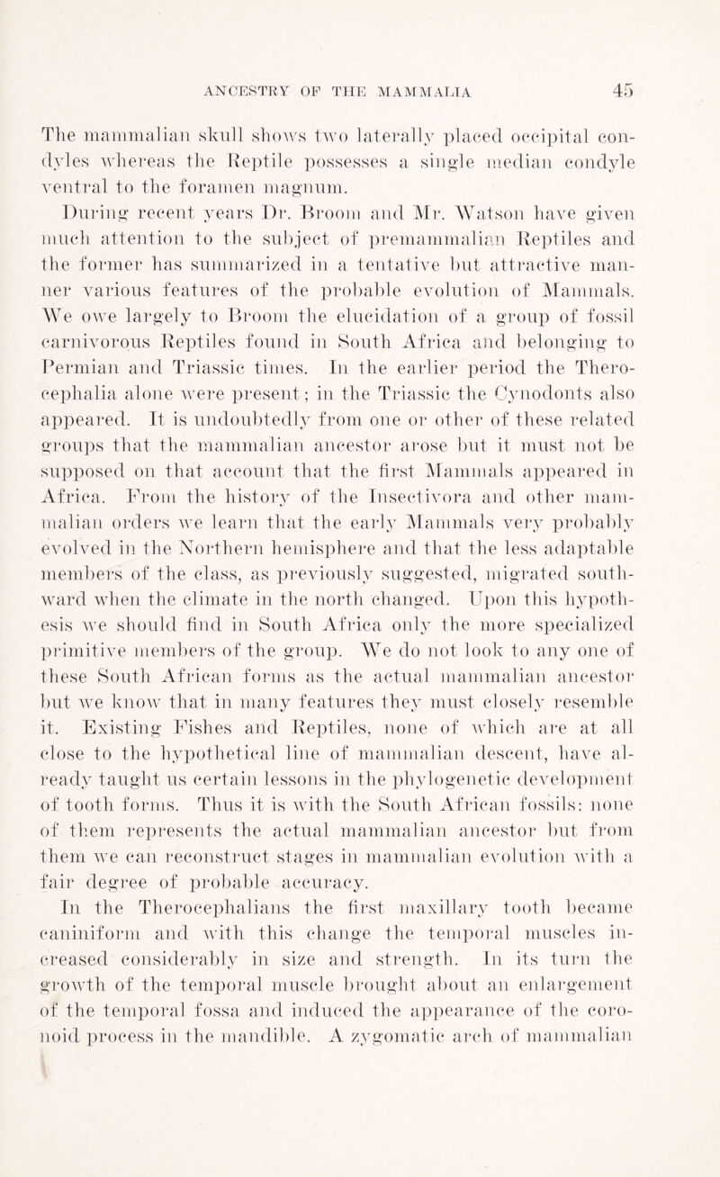 The mammalian skull shows two laterally placed occipital con¬ dyles whereas the Reptile possesses a single median condyle ventral to the foramen magnum. During recent years Dr. Broom and Mr. Watson have given much attention to the subject of premammalian Reptiles and the former has summarized in a tentative but attractive man¬ ner various features of the probable evolution of Mammals. We owe largely to Broom the elucidation of a group of fossil carnivorous Reptiles found in South Africa and belonging to Permian and Triassic times. In the earlier period the Thero- cephalia alone were present; in the Triassic the Cynodonts also appeared. It is undoubtedly from one or other of these related groups that the mammalian ancestor arose but it must not be supposed on that account that the first Mammals appeared in Africa. From the history of the Insectivora and other mam¬ malian orders we learn that the early Mammals very probably evolved in the Northern hemisphere and that the less adaptable members of the class, as previously suggested, migrated south¬ ward when the climate in the north changed. Upon this hypoth¬ esis we should find in South Africa only the more specialized primitive members of the group. W7e do not look to any one of these South African forms as the actual mammalian ancestor but we know that in many features they must closely resemble it. Existing Fishes and Reptiles, none of which are at all close to the hypothetical line of mammalian descent, have al¬ ready taught us certain lessons in the phylogenetic development of tooth forms. Thus it is with the South African fossils: none of them represents the actual mammalian ancestor but from them we can reconstruct stages in mammalian evolution with a fair degree of probable accuracy. In the Therocephalians the first maxillary tooth became caniniform and with this change the temporal muscles in¬ creased considerably in size and strength. In its turn the growth of the temporal muscle brought about an enlargement of the temporal fossa and induced the appearance of the coro- noid process in the mandible. A zygomatic arch of mammalian