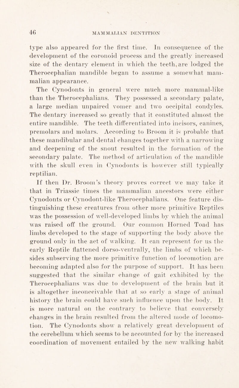 type also appeared for the first time. In consequence of the development of the coronoid process and the greatly increased size of the dentary element in which the teeth, are lodged the Therocephalian mandible began to assume a somewhat mam¬ malian appearance. The Cynodonts in general were much more mammal-like than the Therocephalians. They possessed a secondary palate, a large median unpaired vomer and two occipital condyles. The dentary increased so greatly that it constituted almost the entire mandible. The teeth differentiated into incisors, canines, premolars and molars. According to Broom it is probable that these mandibular and dental changes together with a narrowing and deepening of the snout resulted in the formation of the secondary palate. The method of articulation of the mandible with the skull even in Cynodonts is however still typically reptilian. If then Dr. Broom’s theory proves correct we may take it that in Triassic times the mammalian ancestors were either Cynodonts or Cynodont-like Therocephalians. One feature dis¬ tinguishing these creatures from other more primitive Reptiles was the possession of well-developed limbs by which the animal was raised off the ground. Our common Horned Toad has limbs developed to the stage of supporting the body above the ground only in the act of walking. It can represent for us the early Reptile flattened dorso-ventrally, the limbs of which be¬ sides subserving the more primitive function of locomotion are becoming adapted also for the purpose of support. It has been suggested that the similar change of gait exhibited by the Therocephalians was due to development of the brain but it is altogether inconceivable that at so early a stage of animal history the brain could have such influence upon the body. It is more natural on the contrary to believe that conversely changes in the brain resulted from the altered mode of locomo¬ tion. The Cynodonts show a relatively great development of the cerebellum which seems to be accounted for by the increased coordination of movement entailed by the new walking habit