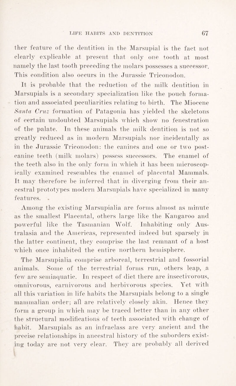 flier feature of the dentition in the Marsupial is the fact not clearly explicable at present that only one tooth at most namely the last tooth preceding the molars possesses a successor. This condition also occurs in the Jurassic Triconodon. It is probable that the reduction of the milk dentition in Marsupials is a secondary specialization like the pouch forma¬ tion and associated peculiarities relating to birth. The Miocene Santa Cruz formation of Patagonia has yielded the skeletons of certain undoubted Marsupials which show no fenestration of the palate. In these animals the milk dentition is not so greatly reduced as in modern Marsupials nor incidentally as in the Jurassic Triconodon: the canines and one or two post- canine teeth (milk molars) possess successors. The enamel of the teeth also in the only form in which it has been microscop¬ ically examined resembles the enamel of placental Mammals. It may therefore be inferred that in diverging from their an¬ cestral prototypes modern Marsupials have specialized in many features. -* Among the existing Marsupial ia are forms almost as minute as the smallest Placental, others large like the Kangaroo and powerful like the Tasmanian Wolf. Inhabiting only Aus¬ tralasia and the Americas, represented indeed but sparsely in the latter continent, they comprise the last remnant of a host which once inhabited the entire northern hemisphere. The Marsupial ia comprise arboreal, terrestrial and fossorial animals. Some of the terrestrial forms run, others leap, .a few are semiaquatic. In respect of diet there are insectivorous, omnivorous, carnivorous and herbivorous species. Yet with all this variation in life habits the Marsupials belong to a single mammalian order; all are relatively closely akin. Hence they form a group in which may be traced better than in any other the structural modifications of teeth associated with change of habit. Marsupials as an infraclass are very ancient and the precise relationships in ancestral history of the suborders exist¬ ing today are not very clear. They are probably all derived