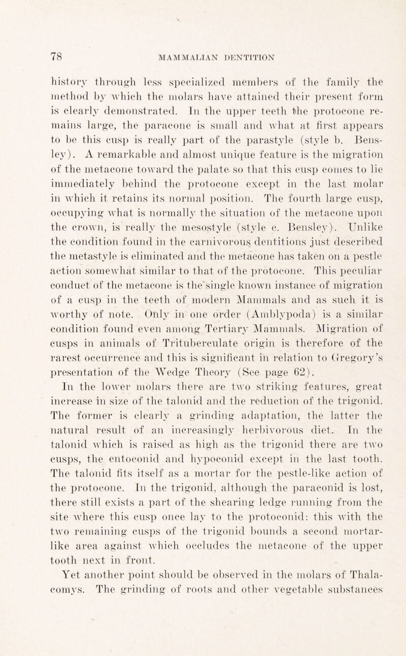 history through less specialized members of the family the method by which the molars have attained their present form is clearly demonstrated. In the upper teeth the protocone re¬ mains large, the paracone is small and what at first appears to be this cusp is really part of the parastyle (style b. Bens- ley). A remarkable and almost unique feature is the migration of the metacone toward the palate-so that this cusp comes to lie immediately behind the protocone except in the last molar in which it retains its normal position. The fourth large cusp, occupying what is normally the situation of the metacone upon the crown, is really the mesostyle (style c. Bensley). Unlike the condition found in the carnivorous dentitions just described the metastyle is eliminated and the metacone has taken on a pestle action somewhat similar to that of the protocone. This peculiar conduct of the metacone is the single known instance of migration of a cusp in the teeth of modern Mammals and as sucdi it is worthy of note. Only in one order (Amblypoda) is a similar condition found even among Tertiary Mammals. Migration of cusps in animals of Trituberculate origin is therefore of the rarest occurrence and this is significant in relation to Gregory’s presentation of the Wedge Theory (See page 62). In the lower molars there are two striking features, great increase in size of the talonid and the reduction of the trigonid. The former is clearly a grinding adaptation, the latter the natural result of an increasingly herbivorous diet. In the talonid which is raised as high as the trigonid there are two cusps, the entoconid and hypoconid except in the last tooth. The talonid fits itself as a mortar for the pestle-like action of the protocone. In the trigonid, although the paraconid is lost, there still exists a part of the shearing ledge running from the site where this cusp once lay to the protoconid: this with the two remaining cusps of the trigonid bounds a second mortar¬ like area against which occludes the metacone of the upper tooth next in front. Yet another point should be observed in the molars of Thala- comys. The grinding of roots and other vegetable substances
