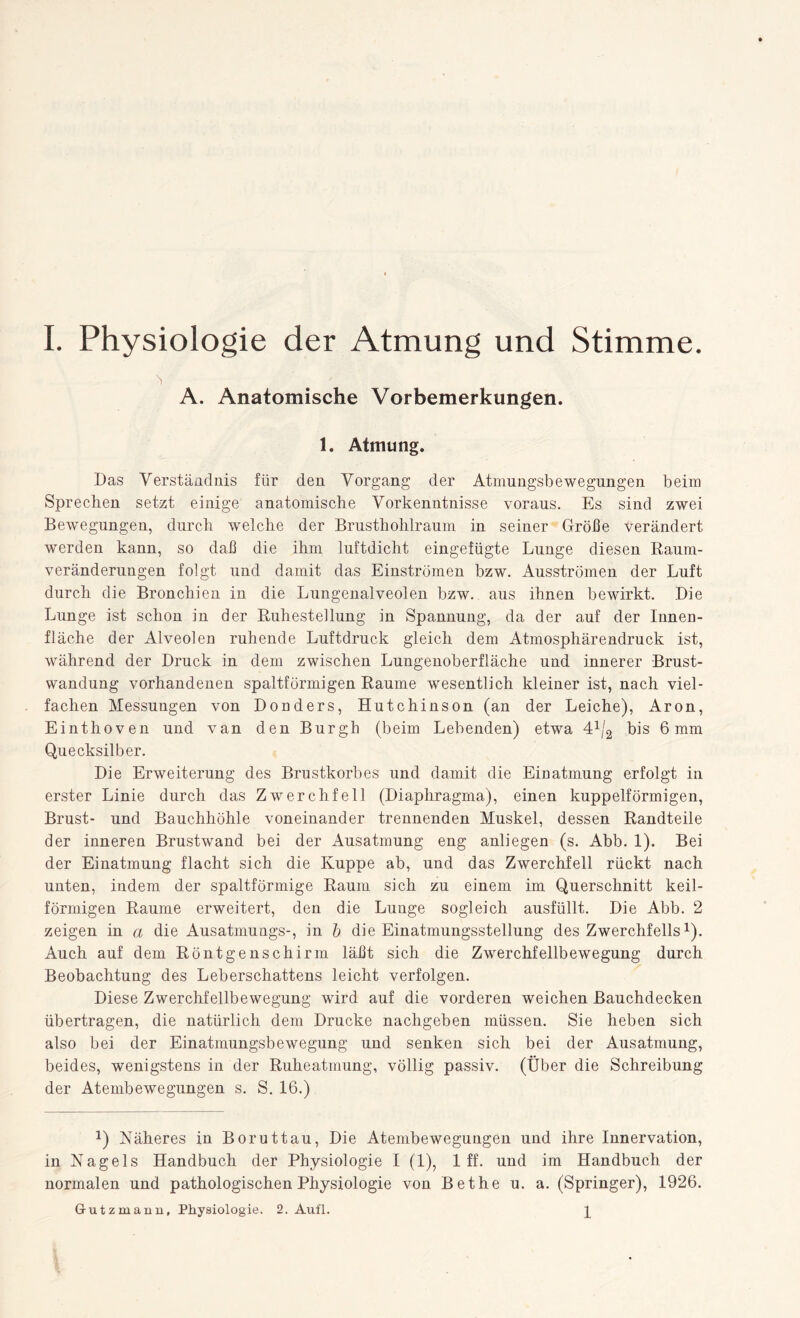 A. Anatomische Vorbemerkungen. 1. Atmung. Das Verständnis für den Vorgang der Atmungsbewegungen beim Sprechen setzt einige anatomische Vorkenntnisse voraus. Es sind zwei Bewegungen, durch welche der Brustholilraum in seiner Größe verändert werden kann, so daß die ihm luftdicht eingefügte Lunge diesen Raum¬ veränderungen folgt und damit das Einströmen bzw. Ausströmen der Luft durch die Bronchien in die Lungenalveolen bzw. aus ihnen bewirkt. Die Lunge ist schon in der Ruhestellung in Spannung, da der auf der Innen¬ fläche der Alveolen ruhende Luftdruck gleich dem Atmosphärendruck ist, während der Druck in dem zwischen Lungenoberfläche und innerer Brust¬ wandung vorhandenen spaltförmigen Raume wesentlich kleiner ist, nach viel¬ fachen Messungen von Donders, Hutchinson (an der Leiche), Aron, Einthoven und van den Burgh (beim Lebenden) etwa dd^ bis 6mm Quecksilber. Die Erweiterung des Brustkorbes und damit die Einatmung erfolgt in erster Linie durch das Zwerchfell (Diaphragma), einen kuppelförmigen, Brust- und Bauchhöhle voneinander trennenden Muskel, dessen Randteile der inneren Brustwand bei der Ausatmung eng anliegen (s. Abb. 1). Bei der Einatmung flacht sich die Kuppe ab, und das Zwerchfell rückt nach unten, indem der spaltförmige Raum sich zu einem im Querschnitt keil¬ förmigen Raume erweitert, den die Lunge sogleich ausfüllt. Die Abb. 2 zeigen in a die Ausatmungs-, in b die Einatmungsstellung des Zwerchfellsx). Auch auf dem Röntgenschirm läßt sich die Zwerchfellbewegung durch Beobachtung des Leberschattens leicht verfolgen. Diese Zwerchfellbewegung wird auf die vorderen weichen Bauchdecken übertragen, die natürlich dem Drucke nachgeben müssen. Sie heben sich also bei der Einatmungsbewegung und senken sich bei der Ausatmung, beides, wenigstens in der Ruheatmung, völlig passiv. (Über die Schreibung der Atembewegungen s. S. 16.) *) Näheres in Boruttau, Die Atembewegungen und ihre Innervation, in Nagels Handbuch der Physiologie I (1), 1 ff. und im Handbuch der normalen und pathologischen Physiologie von Bethe u. a. (Springer), 1926. Grutzmanu, Physiologie. 2. Aufl. ]