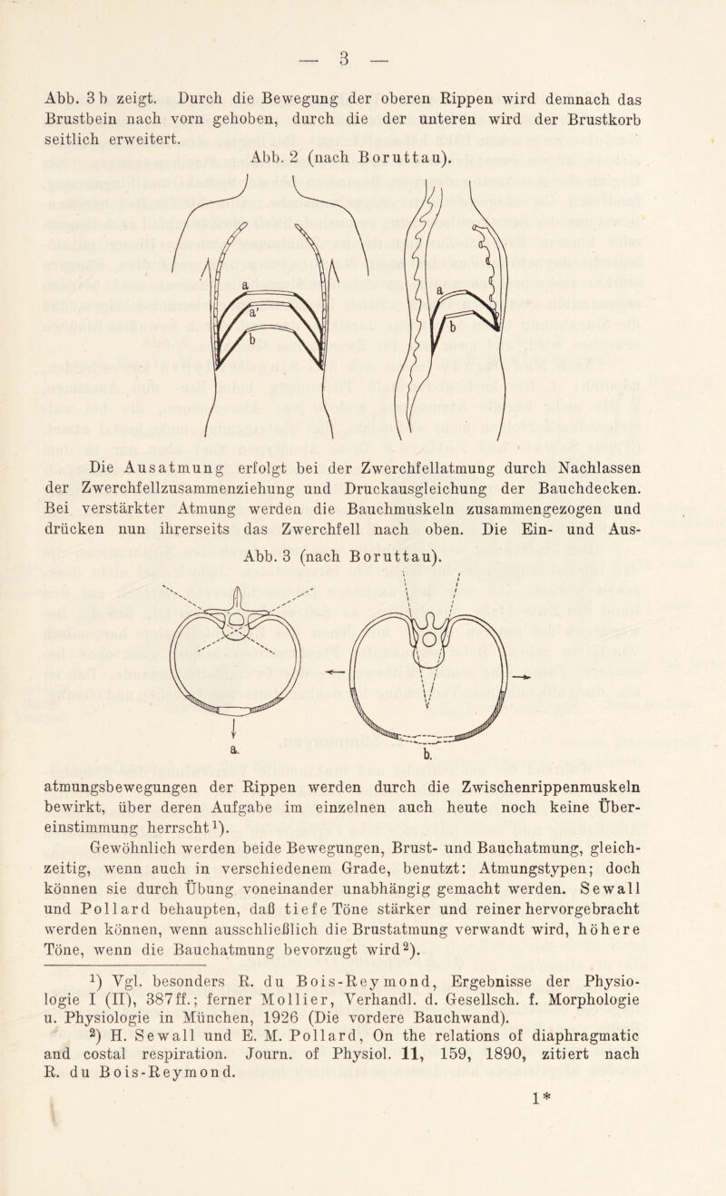 Abb. 3 b zeigt. Durch die Bewegung der oberen Rippen wird demnach das Brustbein nach vorn gehoben, durch die der unteren wird der Brustkorb seitlich erweitert. Abb. 2 (nach Boruttau). Die Ausatmung erfolgt bei der Zwerchfellatmung durch Nachlassen der Zwerchfellzusammenziehung und Druckausgleichung der Bauchdecken. Bei verstärkter Atmung werden die Bauchmuskeln zusammengezogen und drücken nun ihrerseits das Zwerchfell nach oben. Die Ein- und Aus- Abb. 3 (nach Boruttau). i a. atmungsbewegungen der Rippen werden durch die Zwischenrippenmuskeln bewirkt, über deren Aufgabe im einzelnen auch heute noch keine Über¬ einstimmung herrscht1). Gewöhnlich werden beide Bewegungen, Brust- und Bauchatmung, gleich¬ zeitig, wenn auch in verschiedenem Grade, benutzt: Atmungstypen; doch können sie durch Übung voneinander unabhängig gemacht werden. Sewall und Pollard behaupten, daß tiefe Töne stärker und reiner hervor gebracht werden können, wenn ausschließlich die Brustatmung verwandt wird, höhere Töne, wenn die Bauchatmung bevorzugt wird2). a) Vgl. besonders R. du Bois-Reymond, Ergebnisse der Physio¬ logie I (II), 387ff.; ferner Mollier, Verhandl. d. Gesellsch. f. Morphologie u. Physiologie in München, 1926 (Die vordere Bauchwand). 2) H. Sewall und E. M. Pollard, On the relations of diaphragmatic and costal respiration. Journ. of Physiol. 11, 159, 1890, zitiert nach R. du Bois-Reymond. 1*