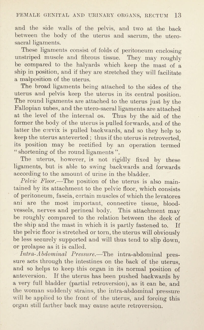 and the side walls of the pelvis, and two at the back between the body of the uterus and sacrum, the utero- sacral ligaments. These ligaments consist of folds of peritoneum enclosing unstriped muscle and fibrous tissue. They may roughly be compared to the halyards which keep the mast of a ship in position, and if they are stretched they will facilitate a malposition of the uterus. The broad ligaments being attached to the sides of the uterus and pelvis keep the uterus in its central position. The round ligaments are attached to the uterus just by the Fallopian tubes, and the utero-sacral ligaments are attached at the level of the internal os. Thus by the aid of the former the body of the uterus is pulled forwards, and of the latter the cervix is pulled backwards, and so they help to keep the uterus anteverted; thus if the uterus is retroverted, its position may be rectified by an operation termed “ shortening of the round ligaments The uterus, however, is not rigidly fixed by these ligaments, but is able to swing backwards and forwards according to the amount of urine in the bladder. Pelvic Floor.—The position of the uterus is also main¬ tained by its attachment to the pelvic floor, which consists of peritoneum, fascia, certain muscles of which the levatores ani are the most important, connective tissue, blood¬ vessels, nerves and perineal body. This attachment may be roughly compared to the relation between the deck of the ship and the mast in which it is partly fastened to. If the pelvic floor is stretched or torn, the uterus will obviously be less securely supported and will thus tend to slip down, or prolapse as it is called. Intra-Abdominal Pressure.—The intra-abdominal pres¬ sure acts through the intestines on the back of the uterus, and so helps to keep this organ in its normal position of anteversion. If the uterus has been pushed backwards by a very full bladder (partial retroversion), as it can be, and the woman suddenly strains, the intra-abdominal pressure will be applied to the front of the uterus, and forcing this organ still farther back may cause acute retroversion.