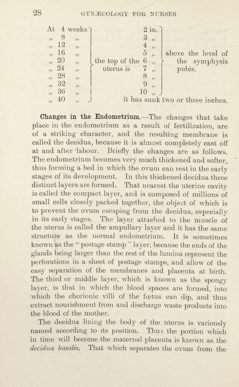 At >5 4 weeks 8 12 16 20 24 28 32 36 40 7 7 77 77 77 77 77 77 7? y 2 in. 3 „ 4 „ 5 ” the top of the 6 ,, uterus is 7 8 9 10 77 77 above the level of the symphysis pubis. J it has sunk two or three inches. Changes in the Endometrium.—The changes that take place in the endometrium as a result of fertilization, are of a striking character, and the resulting membrane is called the decidua, because it is almost completely cast off at and after ‘labour. Briefly the changes are as follows. The endometrium becomes very much thickened and softer, thus forming a bed in which the ovum can rest in the early stages of its development. In this thickened decidua three distinct layers are formed. That nearest the uterine cavity is called the compact layer, and is composed of millions of small cells closely packed together, the object of which is to prevent the ovum escaping from the decidua, especially in its early stages. The layer attached to the muscle of the uterus is called the ampullary layer and it has the same structure as the normal endometrium. It is sometimes known as the “ postage stamp ” layer, because the ends of the glands being larger than the rest of the lumina represent the perforations in a sheet of postage stamps, and allow of the easy separation of the membranes and placenta at birth. The third or middle layer, which is known as the spongy layer, is that in which the blood spaces are formed, into which the chorionic villi of the foetus can dip, and thus extract nourishment from and discharge waste products into the blood of the mother. The decidua lining the body of the uterus is variously named according to its position. Thus the portion which in time will become the maternal placenta is known as the decidua basalis. That which separates the ovum from the