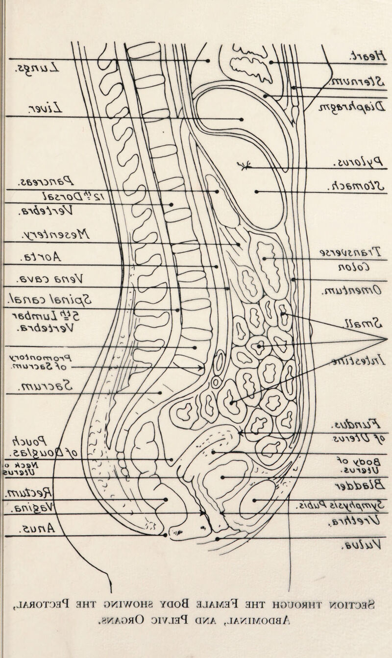 ,8WA0hO oivja4 QVik ,JA>iiMoaaA