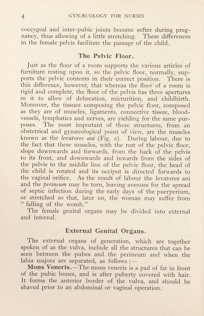 coccygeal and inter-pubic joints become softer during preg¬ nancy, thus allowing of a little stretching. These differences in the female pelvis facilitate the passage of the child. The Pelvic Floor. Just as the floor of a room supports the various articles of furniture resting upon it, so the pelvic floor, normally, sup¬ ports the pelvic contents in their correct position. There is this difference, however, that whereas the floor of a room is rigid and complete, the floor of the pelvis has three apertures in it to allow of defecation, micturition, and childbirth. Moreover, the tissues composing the pelvic floor, composed as they are of muscles, ligaments, connective tissue, blood¬ vessels, lymphatics and nerves, are yielding for the same pur¬ poses. The most important of these structures, from an obstetrical and gynaecological point of view, are the muscles known as the levatores ani (Fig. 2). During labour, due to the fact that these muscles, with the rest of the pelvic floor, slope downwards and forwards, from the back of the pelvis to its front, and downwards and inwards from the sides of the pelvis to the middle line of the pelvic floor, the head of the child is rotated and its occiput is directed forwards to the vaginal orifice. As the result of labour the levatores ani and the perineum may be torn, leaving avenues for the spread of septic infection during the early days of the puerperium, or stretched so that, later on, the woman may suffer from “ falling of the womb.” The female genital organs may be divided into external and internal. External Genital Organs. The external organs of generation, which are together spoken of as the vulva, include all the structures that can be seen between the pubes and the perineum and when the labia majora are separated, as follows Mons Veneris.—The mons veneris is a pad of fat in front of the pubic bones, and is after puberty covered with hair. It forms the anterior border of the vulva, and should be shaved prior to an abdominal or vaginal operation.