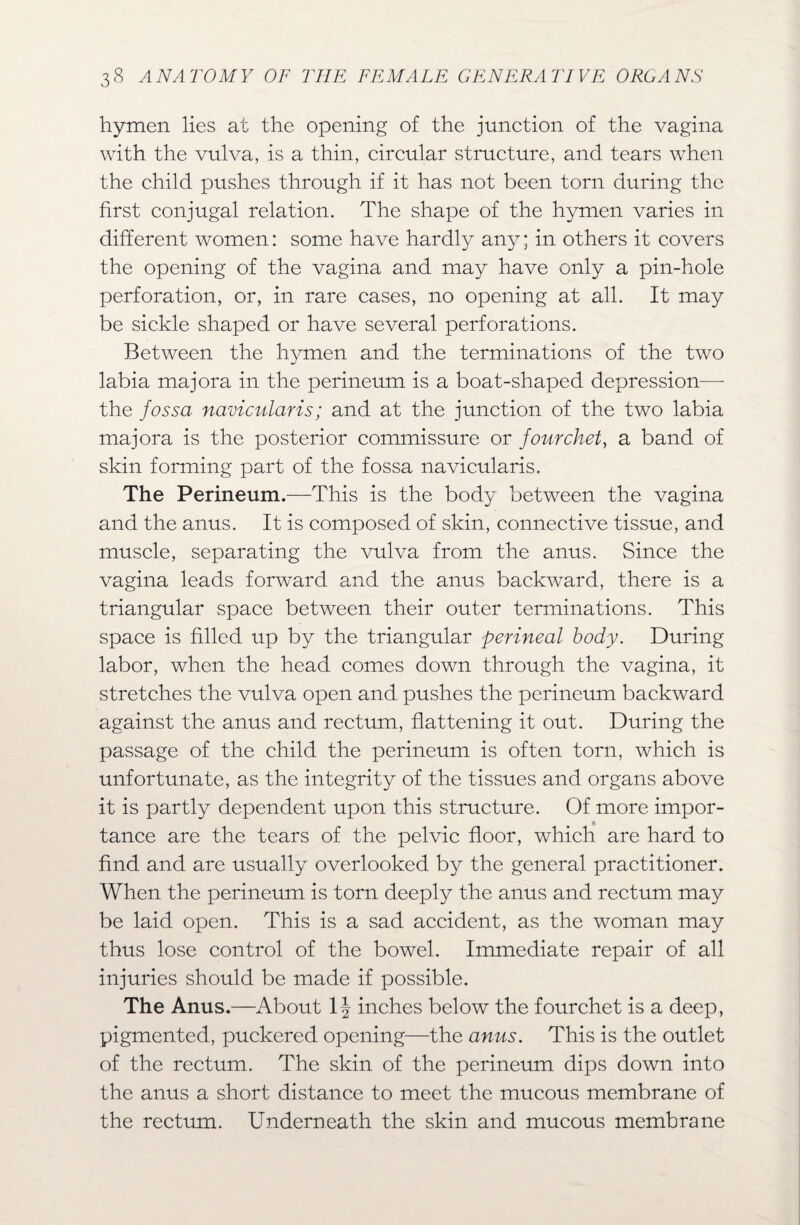 hymen lies at the opening of the junction of the vagina with the vulva, is a thin, circular structure, and tears when the child pushes through if it has not been torn during the first conjugal relation. The shape of the hymen varies in different women: some have hardly any; in others it covers the opening of the vagina and may have only a pin-hole perforation, or, in rare cases, no opening at all. It may be sickle shaped or have several perforations. Between the hymen and the terminations of the two labia majora in the perineum is a boat-shaped depression— the fossa navicularis; and at the junction of the two labia majora is the posterior commissure or fourchet, a band of skin forming part of the fossa navicularis. The Perineum.—This is the body between the vagina and the anus. It is composed of skin, connective tissue, and muscle, separating the vulva from the anus. Since the vagina leads forward and the anus backward, there is a triangular space between their outer terminations. This space is filled up by the triangular perineal body. During labor, when the head comes down through the vagina, it stretches the vulva open and pushes the perineum backward against the anus and rectum, flattening it out. During the passage of the child the perineum is often torn, which is unfortunate, as the integrity of the tissues and organs above it is partly dependent upon this structure. Of more impor¬ tance are the tears of the pelvic floor, which are hard to find and are usually overlooked by the general practitioner. When the perineum is torn deeply the anus and rectum may be laid open. This is a sad accident, as the woman may thus lose control of the bowel. Immediate repair of all injuries should be made if possible. The Anus.—About 1 \ inches below the fourchet is a deep, pigmented, puckered opening—the anus. This is the outlet of the rectum. The skin of the perineum dips down into the anus a short distance to meet the mucous membrane of the rectum. Underneath the skin and mucous membrane