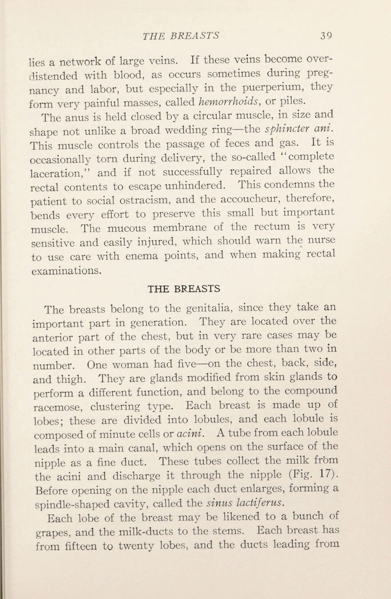 lies a network of large veins. If these veins become over¬ distended with blood, as occurs sometimes during preg¬ nancy and labor, but especially in the puerperium, they form very painful masses, called hemorrhoids, or piles. The anus is held closed by a circular muscle, in size and shape not unlike a broad wedding ring—the sphincter ani. This muscle controls the passage of feces and gas. It is occasionally tom during delivery, the so-called “complete laceration,” and if not successfully repaired allows the rectal contents to escape unhindered. This condemns the patient to social ostracism, and the accoucheur, therefore, bends every effort to preserve this small but important muscle. The mucous membrane of the rectum is very sensitive and easily injured, which should warn the nurse to use care with enema points, and when making rectal examinations. THE BREASTS The breasts belong to the genitalia, since they take an important part in generation. They are located over the anterior part of the chest, but in very rare cases may be located in other parts of the body or be more than two in number. One woman had five—on the chest, back, side, and thigh. They are glands modified from skin glands to perform a different function, and belong to the compound racemose, clustering type. Each breast is made up of lobes; these are divided into lobules, and each lobule is composed of minute cells or acini. A tube from each lobule leads into a main canal, which opens on the surface of the nipple as a fine duct. These tubes collect the milk from the acini and discharge it through the nipple (Fig. 17). Before opening on the nipple each duct enlarges, forming a spindle-shaped cavity, called the sinus lactiferus. Each lobe of the breast may be likened to a bunch of grapes, and the milk-ducts to the stems. Each breast has from fifteen to twenty lobes, and the ducts leading from