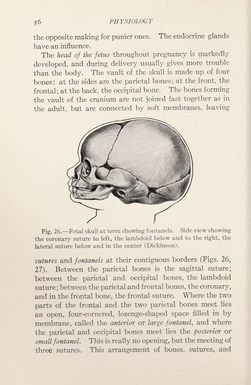 the opposite making for punier ones. The endocrine glands have an influence. The head of the fetus throughout pregnancy is markedly developed, and during delivery usually gives more trouble than the body. The vault of the skull is made up of four bones: at the sides are the parietal bones; at the front, the frontal; at the back, the occipital bone. The bones forming the vault of the cranium are not joined fast together as in the adult, but are connected by soft membranes, leaving Fig. 26.—Fetal skull at term showing fontanels. Side view showing the coronary suture to left, the lambdoid below and to the right, the lateral suture below and in the center (Dickinson). sutures and fontanels at their contiguous borders (Figs. 26, 27). Between the parietal bones is the sagittal suture; between the parietal and occipital bones, the lambdoid suture; between the parietal and frontal bones, the coronary, and in the frontal bone, the frontal suture. Where the two parts of the frontal and the two parietal bones meet lies an open, four-cornered, lozenge-shaped space filled in by membrane, called the anterior or large fontanel, and where the parietal and occipital bones meet lies the posterior or small fontanel. This is really no opening, but the meeting of three sutures. This arrangement of bones, sutures, and