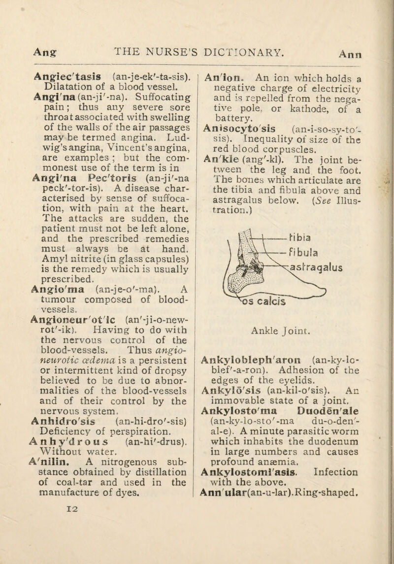 Angiec'tasis (an-je-ek'-ta-sis). Dilatation of a blood vessel. Angi'na (an-ji'-na). Suffocating pain; thus any severe sore throat associated with swelling of the walls of the air passages may be termed angina. Lud¬ wig’s angina, Vincent’s angina, are examples ; but the com¬ monest use of the term is in Angi'na Pec'toris (an-ji'-na peck'-tor-is). A disease char- i acterised by sense of suffoca¬ tion, with pain at the heart. The attacks are sudden, the patient must not be left alone, and the prescribed remedies j must always be at hand. [ Amyl nitrite (in glass capsules) is the remedy which is usually prescribed. Angio'ma (an-je-o'-ma). A I tumour composed of blood- ! vessels. Angioneur'ot'ic (an'-ji-o-new- rot'-ik). Having to do with the nervous control of the blood-vessels. Thus angio¬ neurotic oedema is a persistent or intermittent kind of dropsy believed to be due to abnor¬ malities of the blood-vessels and of their control by the nervous system. Anhidro'sis (an-hi-dro'-sis) Deficiency of perspiration. Anhy'drous (an-hi'-drus). Without water. A'nilin. A nitrogenous sub¬ stance obtained by distillation of coal-tar and used in the manufacture of dyes. An'ion. An ion which holds a negative charge of electricity and is repelled from the nega¬ tive pole, or kathode, of a battery. Anisocyto'sis (an-i-so-sy-to'- sis). Inequality of size of the red blood corpuscles. An'kie (ang'-kl). The joint be¬ tween the leg and the foot. The bones which articulate are the tibia and fibula above and astragalus below. [See Illus¬ tration.) Ankle Joint. Ankjiobleph'aron (an-ky-lc- blef'-a-ron). Adhesion of the edges of the eyelids. Ankylo'sis (an-kil-o'sis). An immovable state of a joint. Ankylosto'ma Duoden'ale (an-ky-lo-sto'-ma du-o-den'- al-e). A minute parasitic worm which inhabits the duodenum in large numbers and causes profound anaemia. Ankylostomi'asls. Infection with the above. Ann'ular(an-u-lar).Ring-shaped.