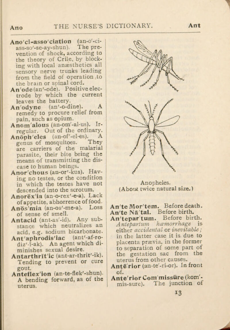 Ano Ano'ci-asso'ciation (an-o'-ci- ass-so'-se-ay-shun). The pre¬ vention of shock, according to the theory of Crile. by block¬ ing with local anaesthetics all sensory nerve trunks leading from the field of operation,to the brain or spinal cord. An'ode(an'-ode). Positive elec¬ trode by which the current leaves the battery. An'odyne (an'-o-dine), A remedy to procure relief from pain, such as opium. Anom'alous (an-om'-al-us). Ir¬ regular. Out of the ordinary. Anoph'eles (an-oE-el-es). A genus of mosquitoes. They are carriers of the malarial parasite, their bite being the means of transmitting the dis¬ ease to human beings. Anor'chous (an-or'-kus). Hav¬ ing no testes, or the condition in which the testes have not descended into the scrotum. Anorgx'ia (an-o-rex'-e-a). Lack of appetite, abhorrence of food. Ands'mia (an-os'-me-a). Loss of sense of smell. Antacid (ant-as'-id). Any sub¬ stance which neutralizes an acid, e.g. sodium bicarbonate. Ant'aphrodis'iac (ant'-af-ro- diz'-i-ak). An agent which di¬ minishes sexual desire. Antarthrit'ic (ant-ar-thrit'-ik). Tending to prevent or cure gout. Anteflex'ion (an-te-flek'-shun). A bending forward, as of the uterus. Anopheles. (About twice natural size.) ' An'te Mor'tem. Before death. ^ An'te Na'tal. Before birth. I An'tepar turn. Before birth. I Antepartum hcemorrhage is either accidental or inevitable; in the latter case it is due to I placenta prsevia, in the former I to separation of some part of \ the gestation sac from the i uterus from other causes. ' Ante'rior (an-te'-ri-or). In front of* Ante'rior Com missure (kom- I mis-sure). The junction of